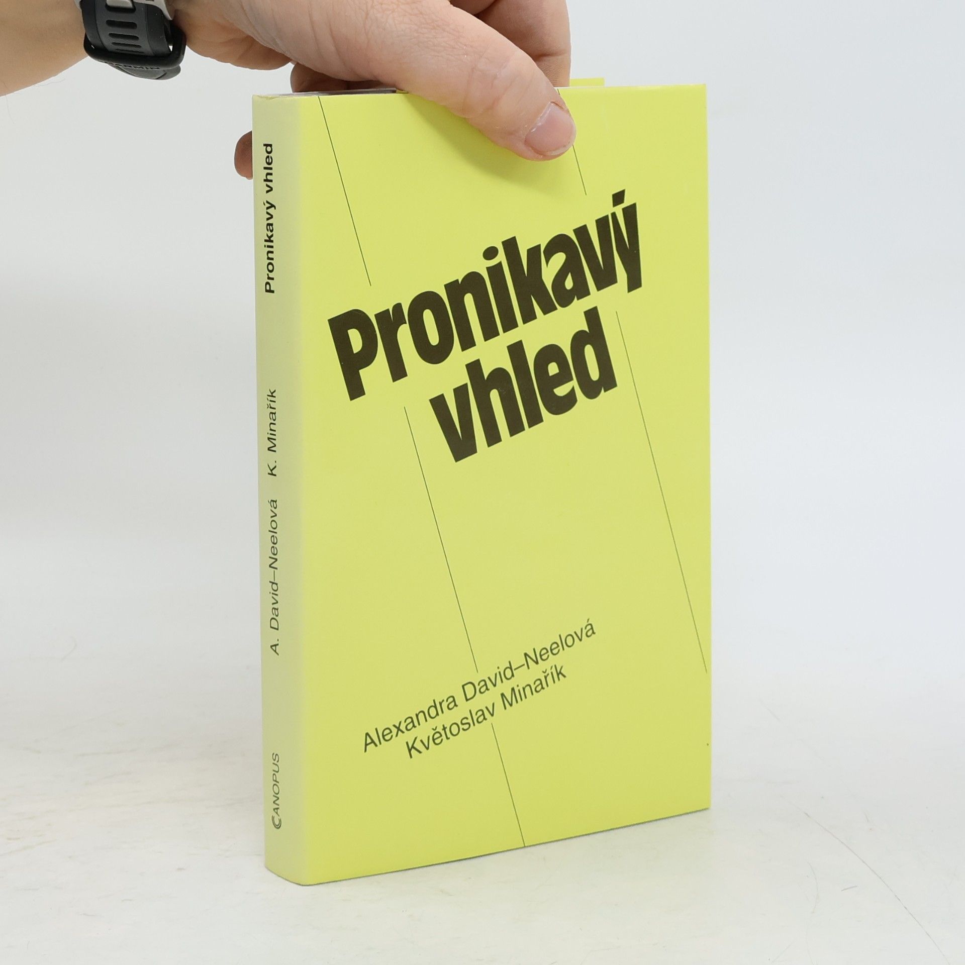 Květoslav Minařík Pronikavý vhled