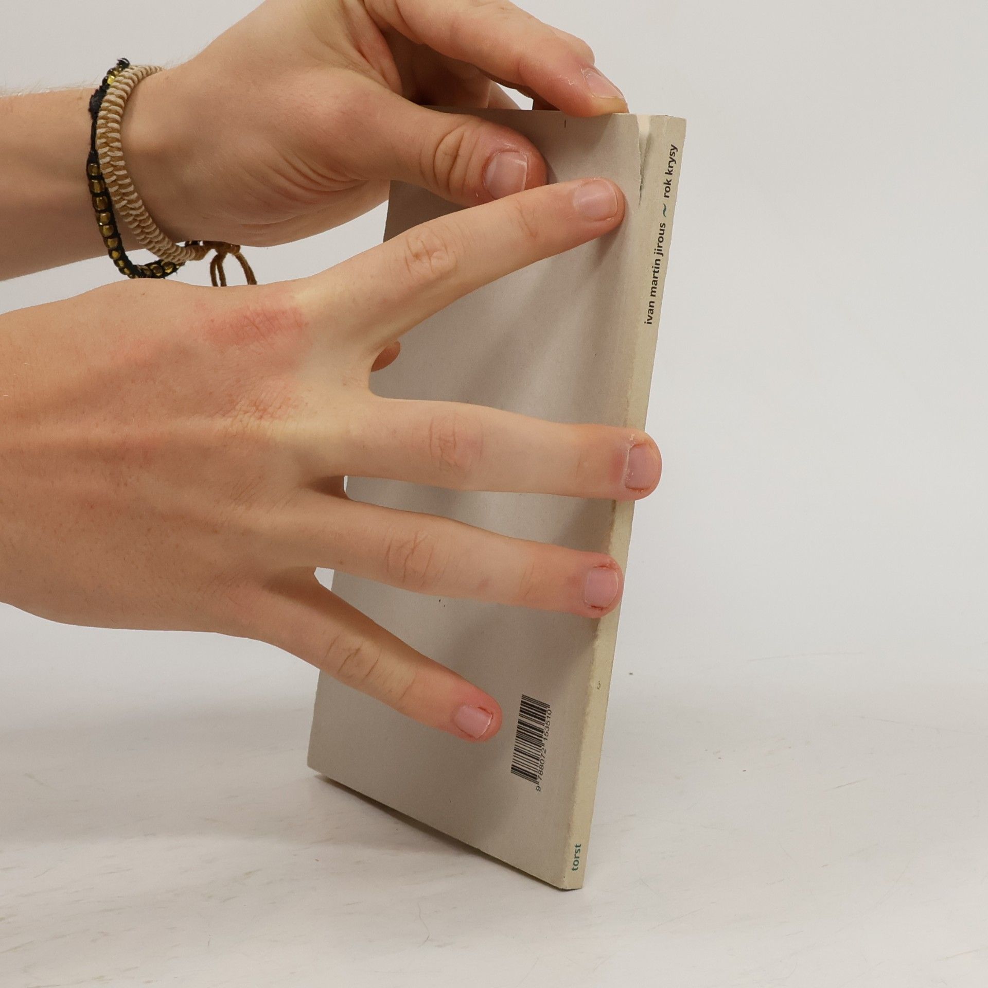 Ivan Martin Jirous Rok krysy
