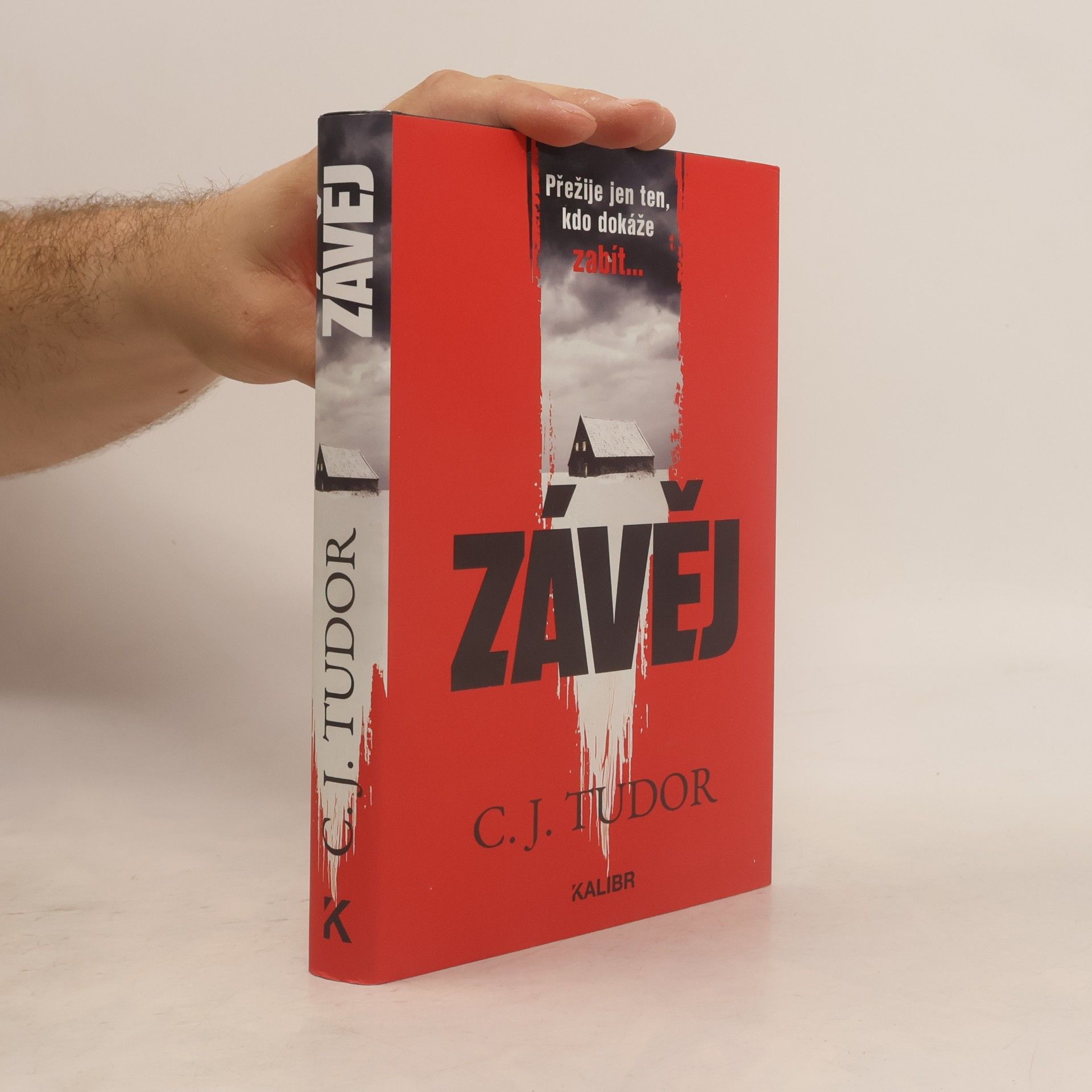 Jana Kunová Závěj