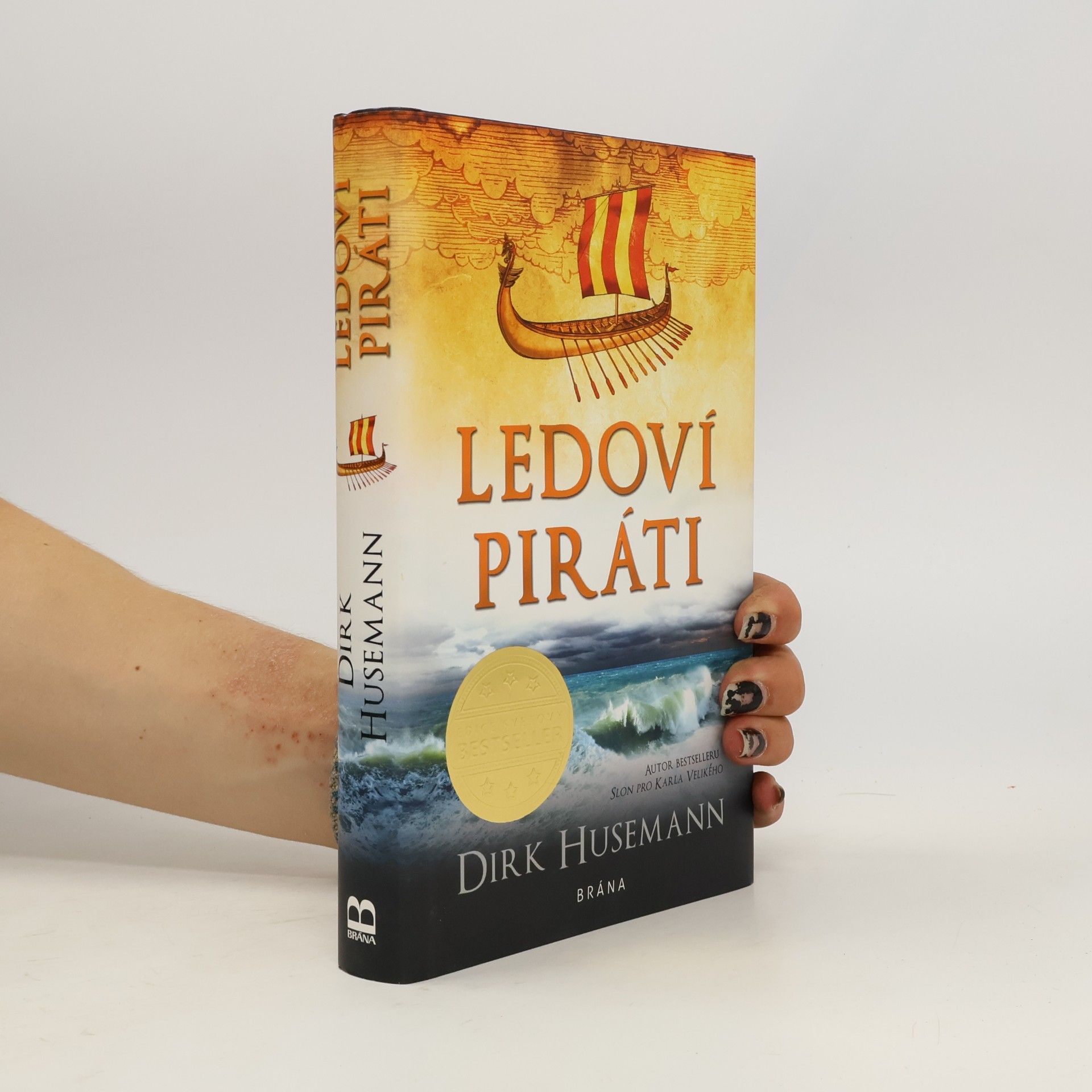 Dirk Husemann Ledoví piráti