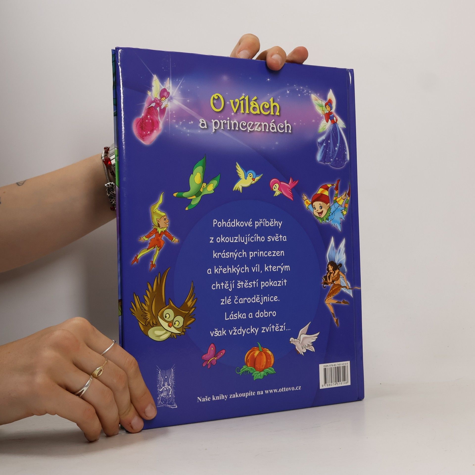 Autorenkollektiv O vílach a princeznách