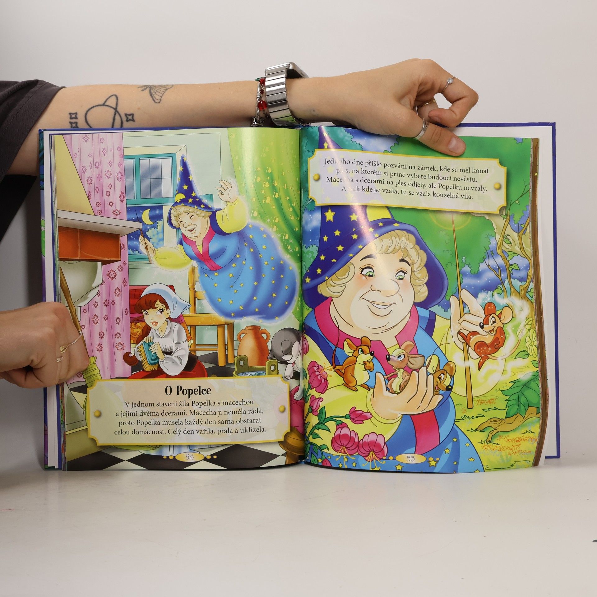 Autorenkollektiv O vílach a princeznách