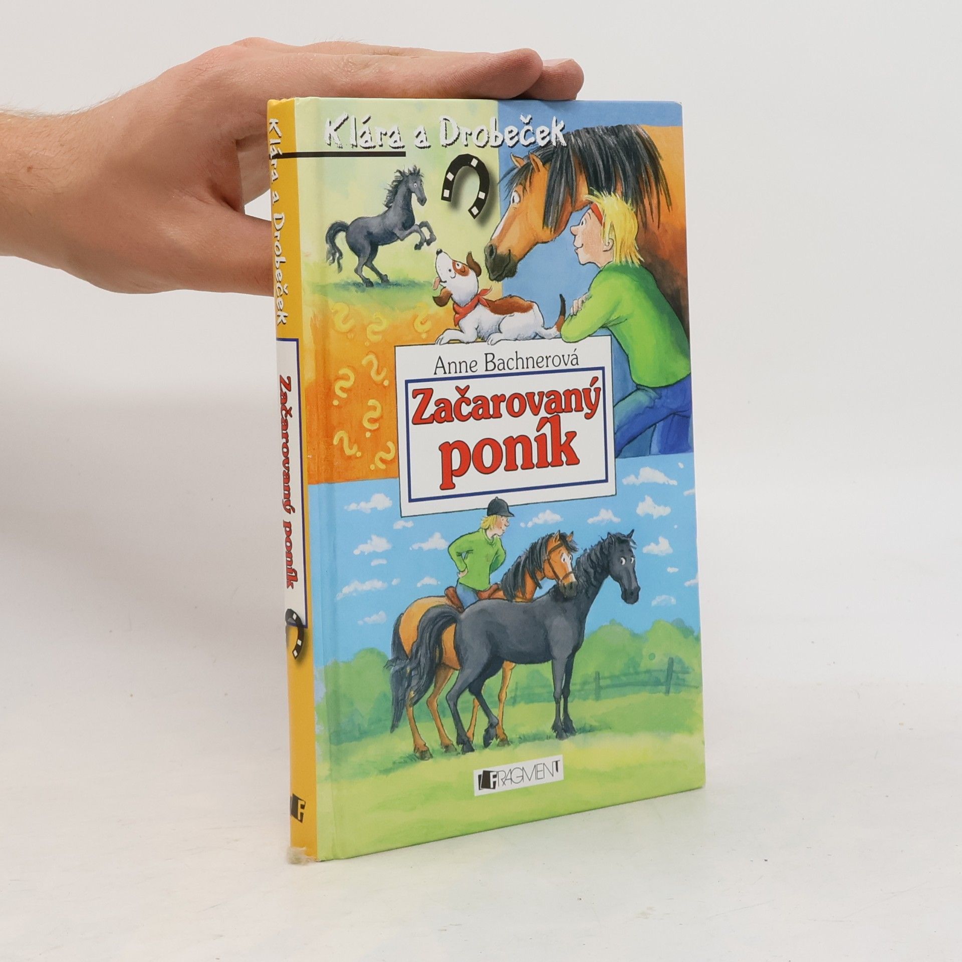 Heike Wiechmann Začarovaný poník
