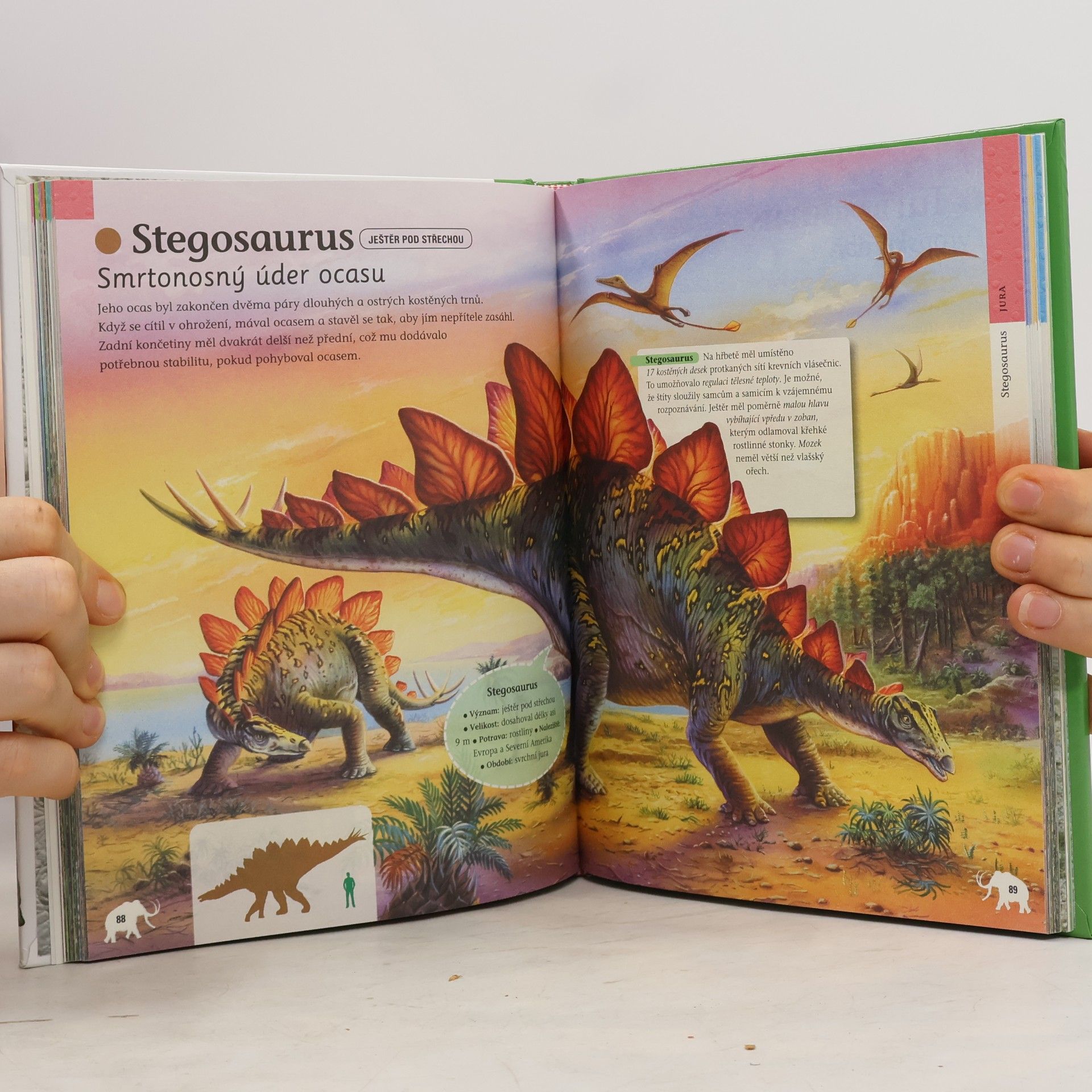 Lidia Di Blasi Dinosauři a jiná prehistorická zvířata