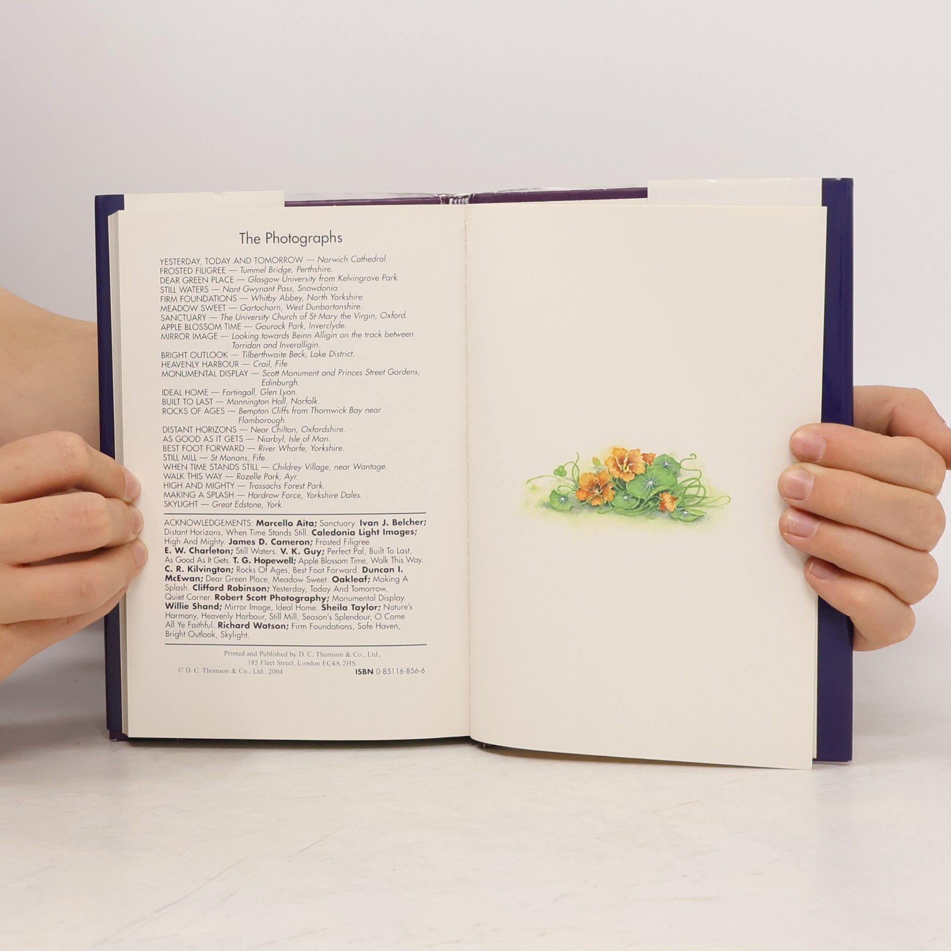 Francis Gay The Friendship Book of Francis Gay
