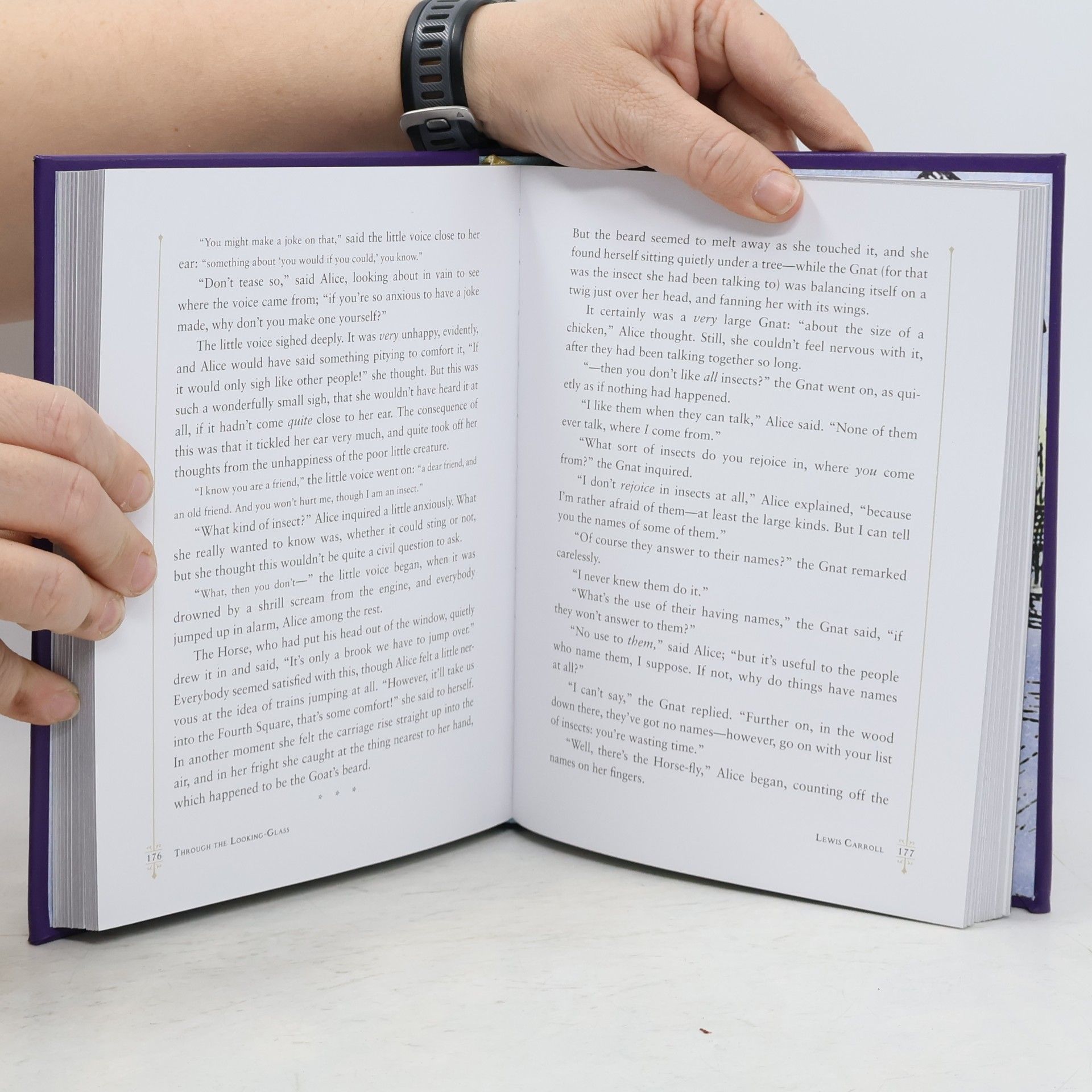 Lewis Carroll Alice's Adventures in Wonderland and Through the Looking-Glass (Barnes & Noble Leatherbound Children's Classics)