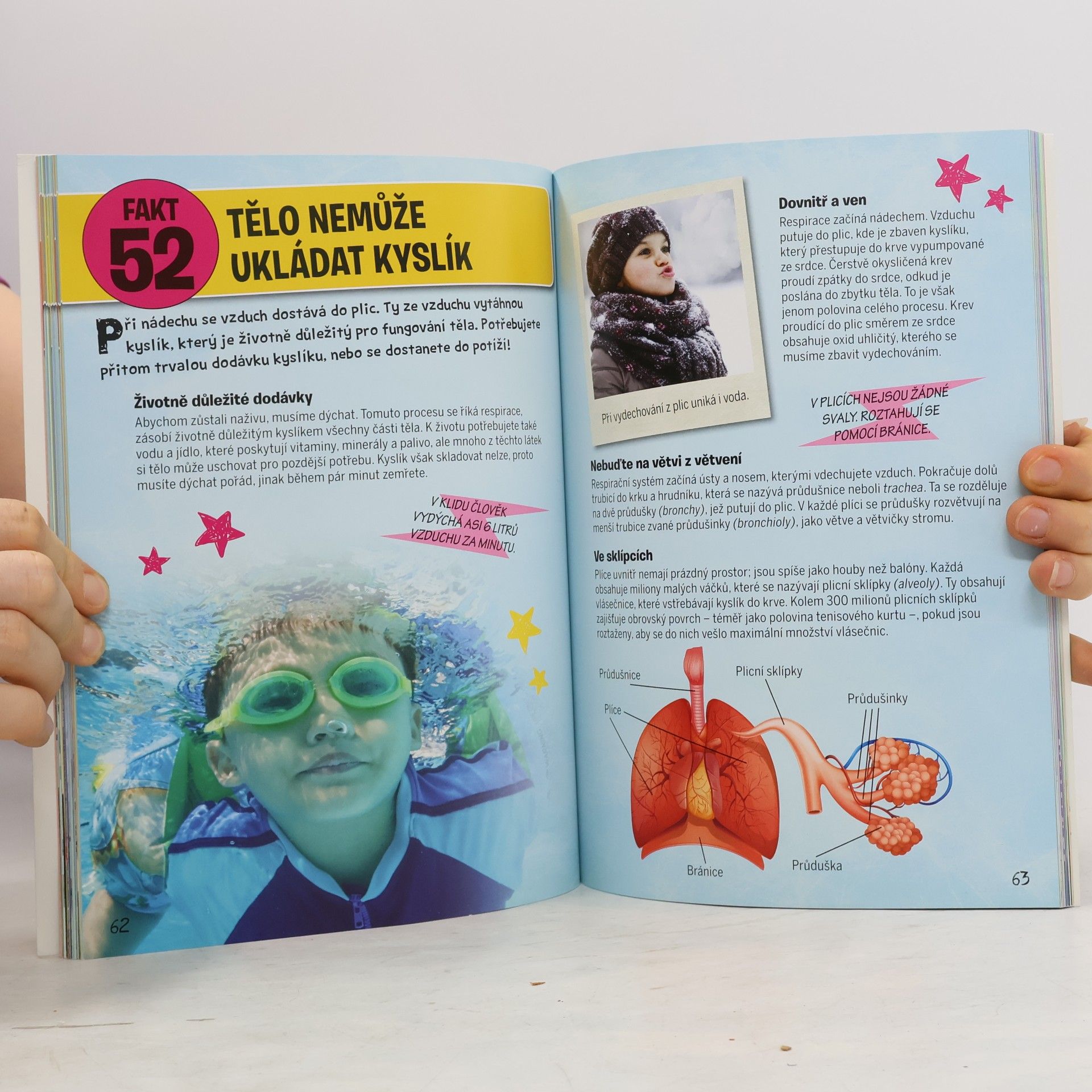 Lisa Regan Lidské tělo je úžasné!: 101 neuvěřitelných věcí, které by každé dítě mělo znát.