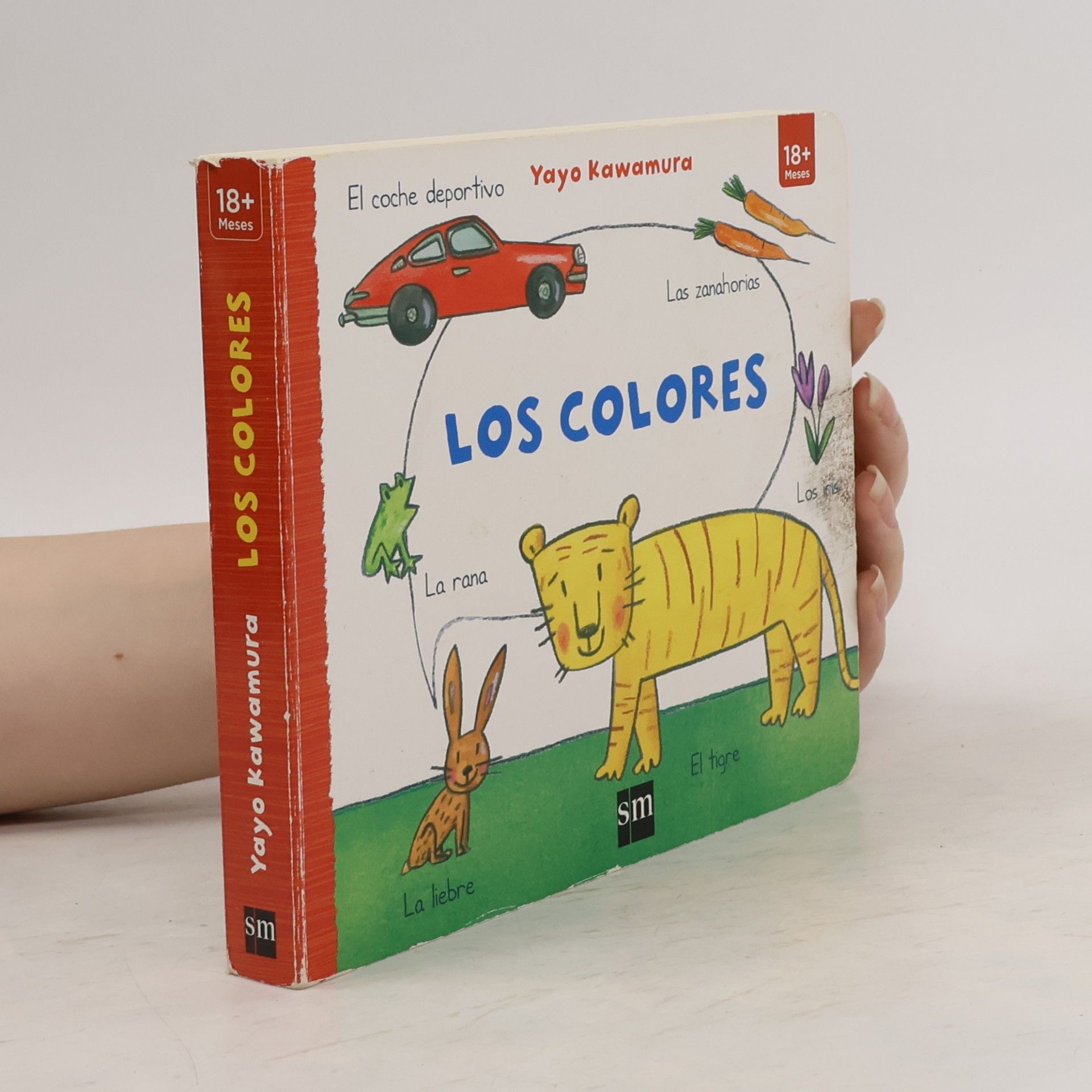 Los colores