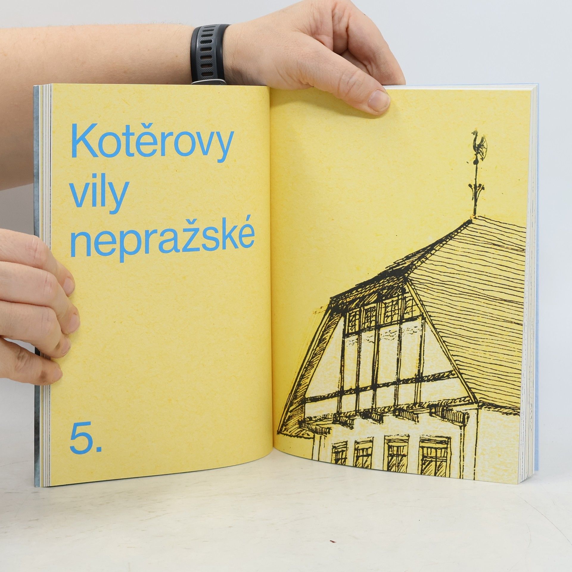 Miroslav Zelinský Fenomén Jan Kotěra