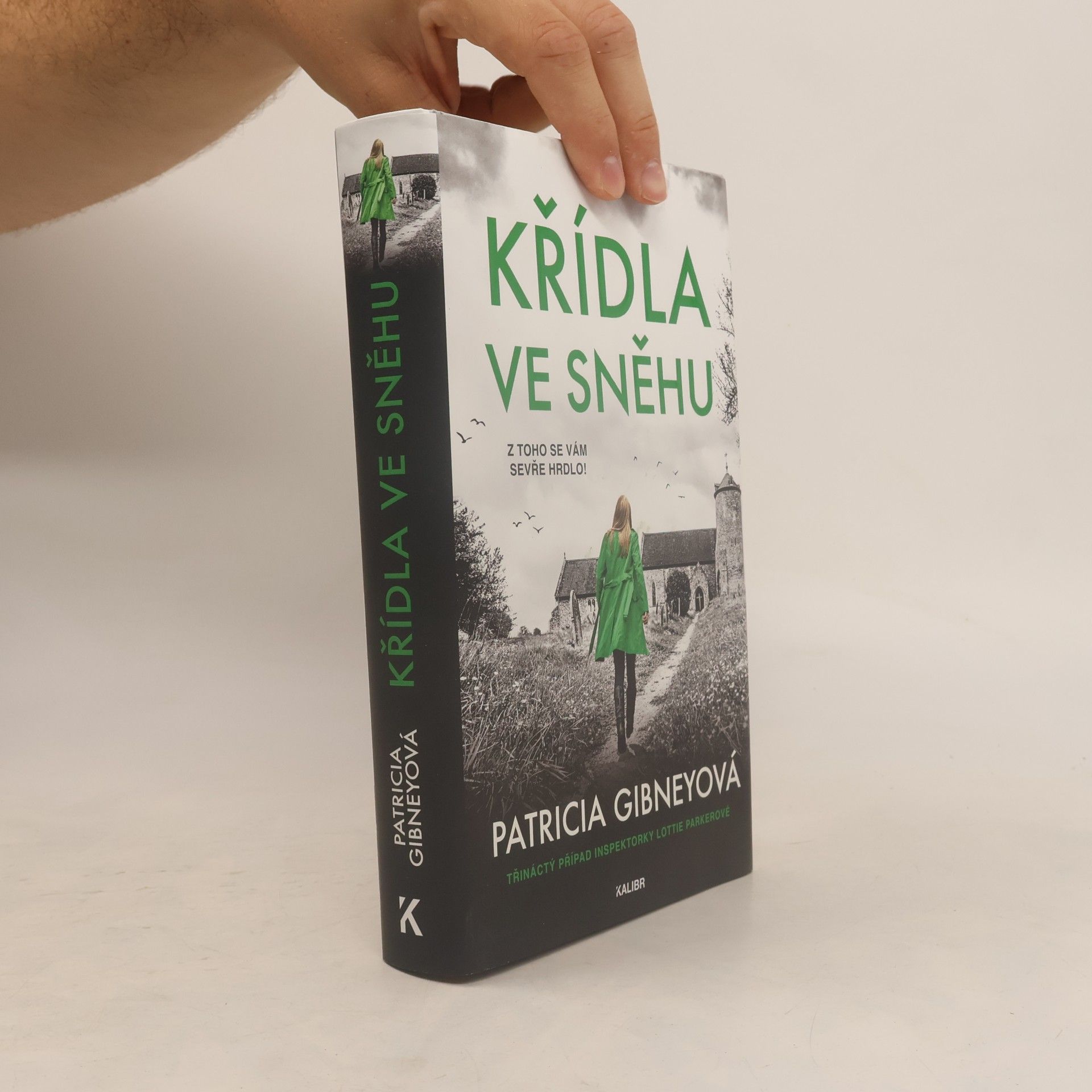 Křídla ve sněhu
