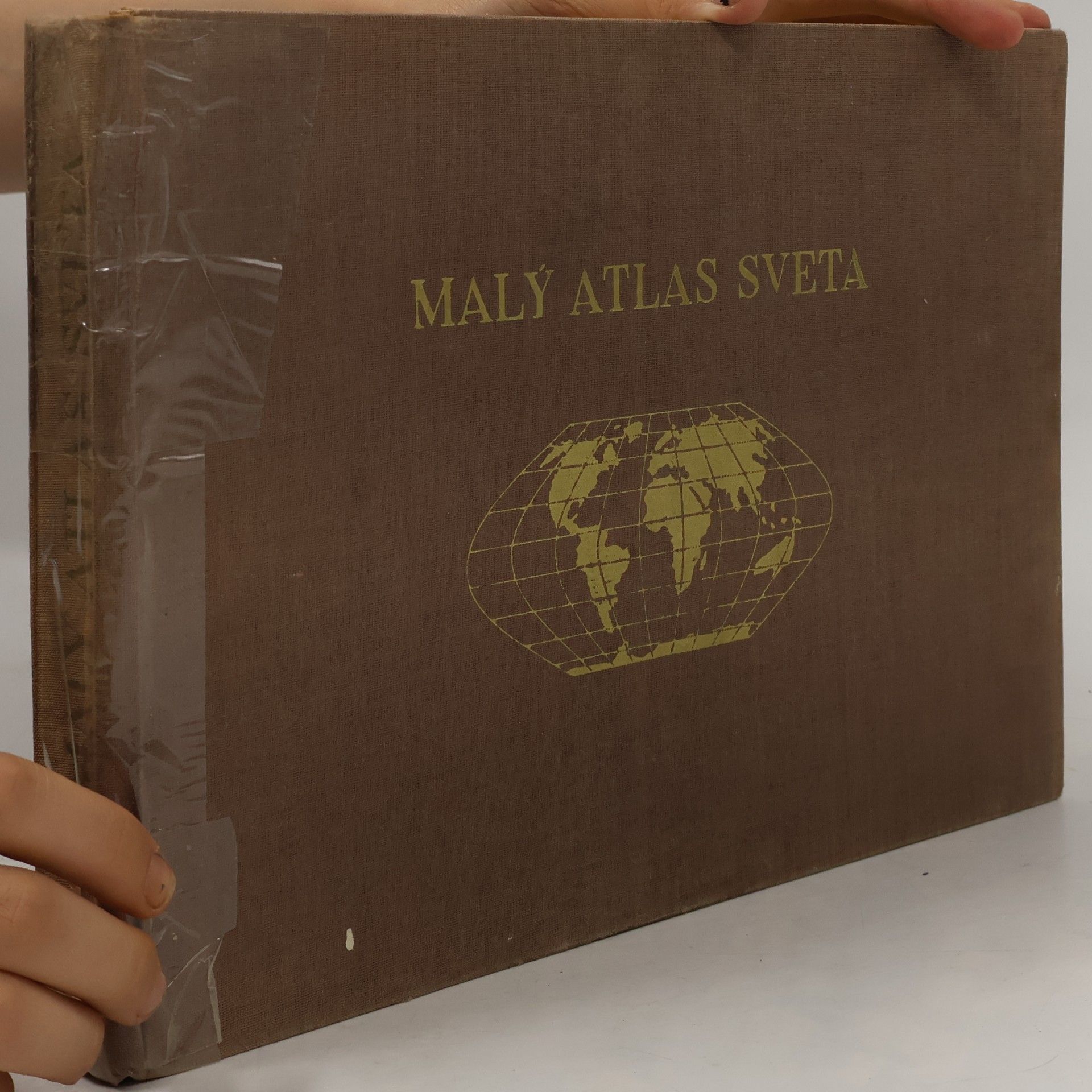 Kolektív autorov Malý atlas sveta
