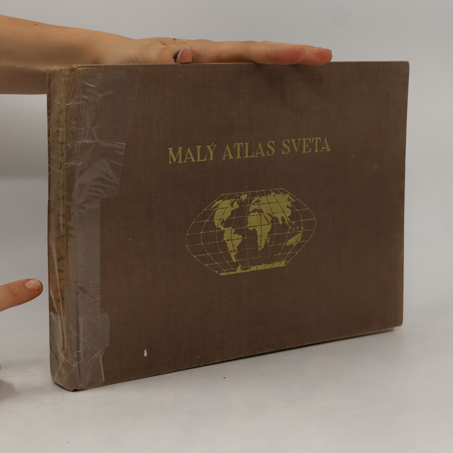 Kolektív autorov Malý atlas sveta