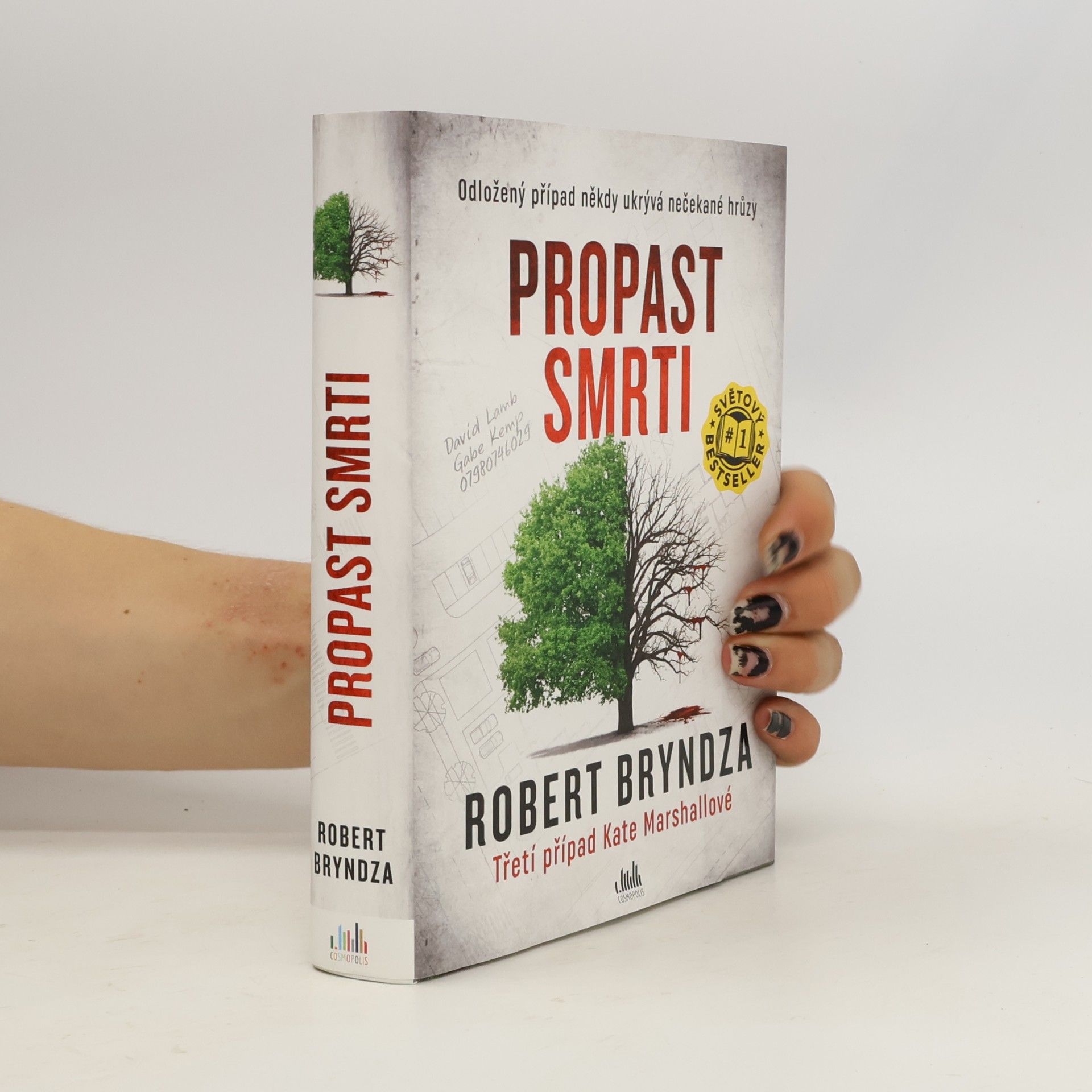 Robert Bryndza Propast smrti