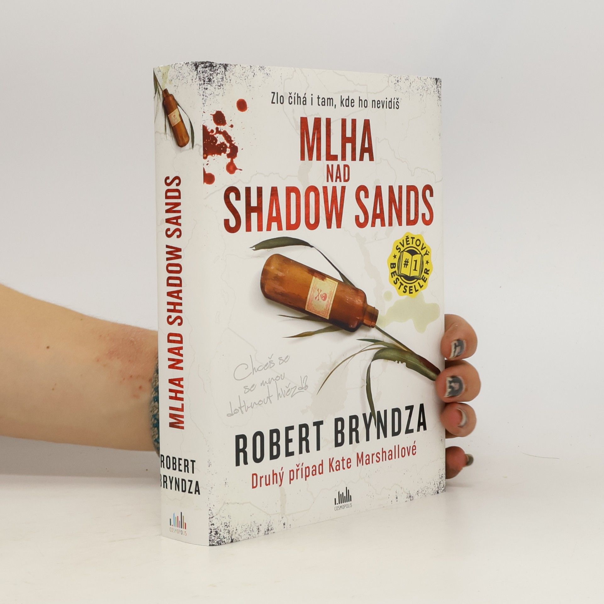 Robert Bryndza Mlha nad Shadow Sands
