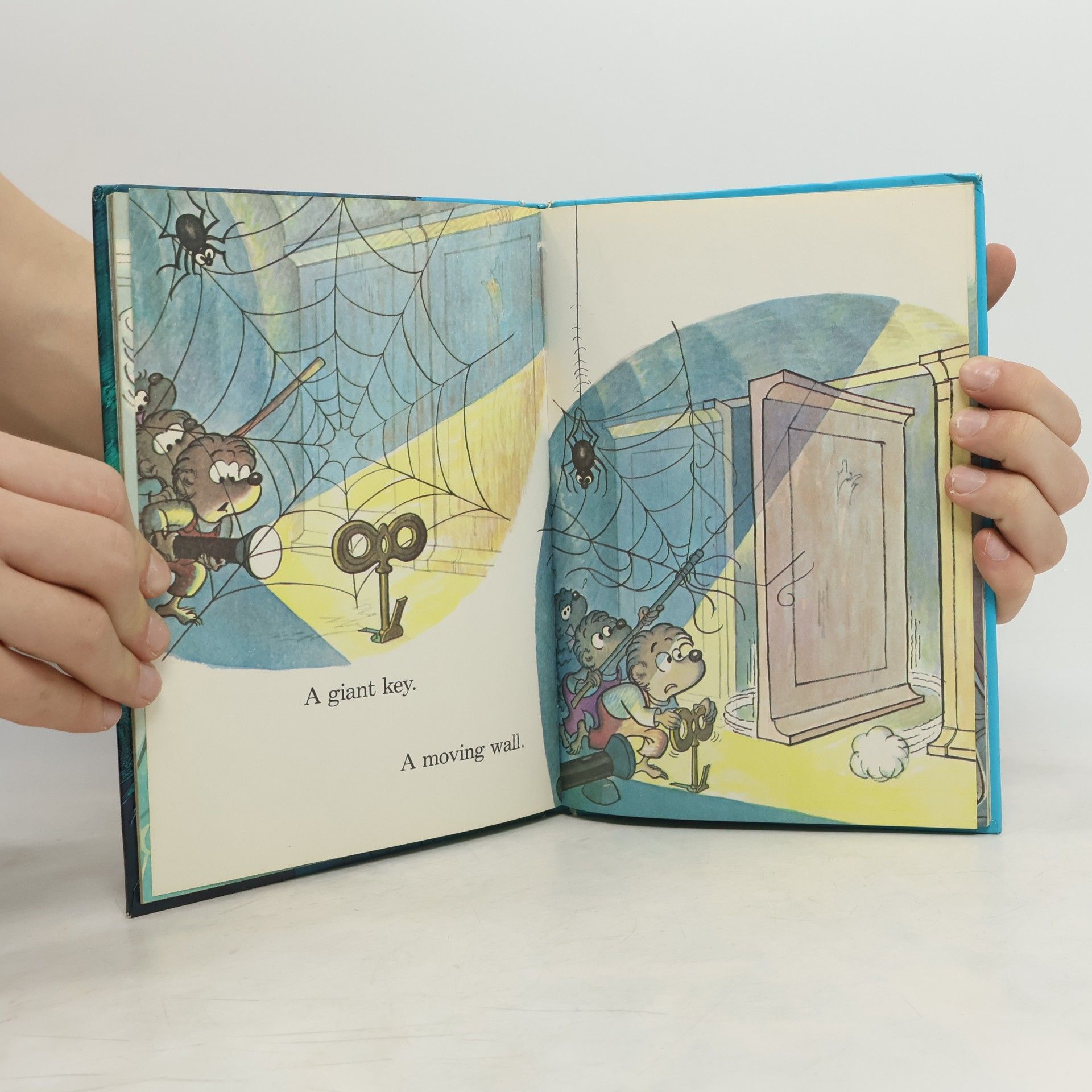 Auteurscollectief The Berenstain bears and the spooky old tree