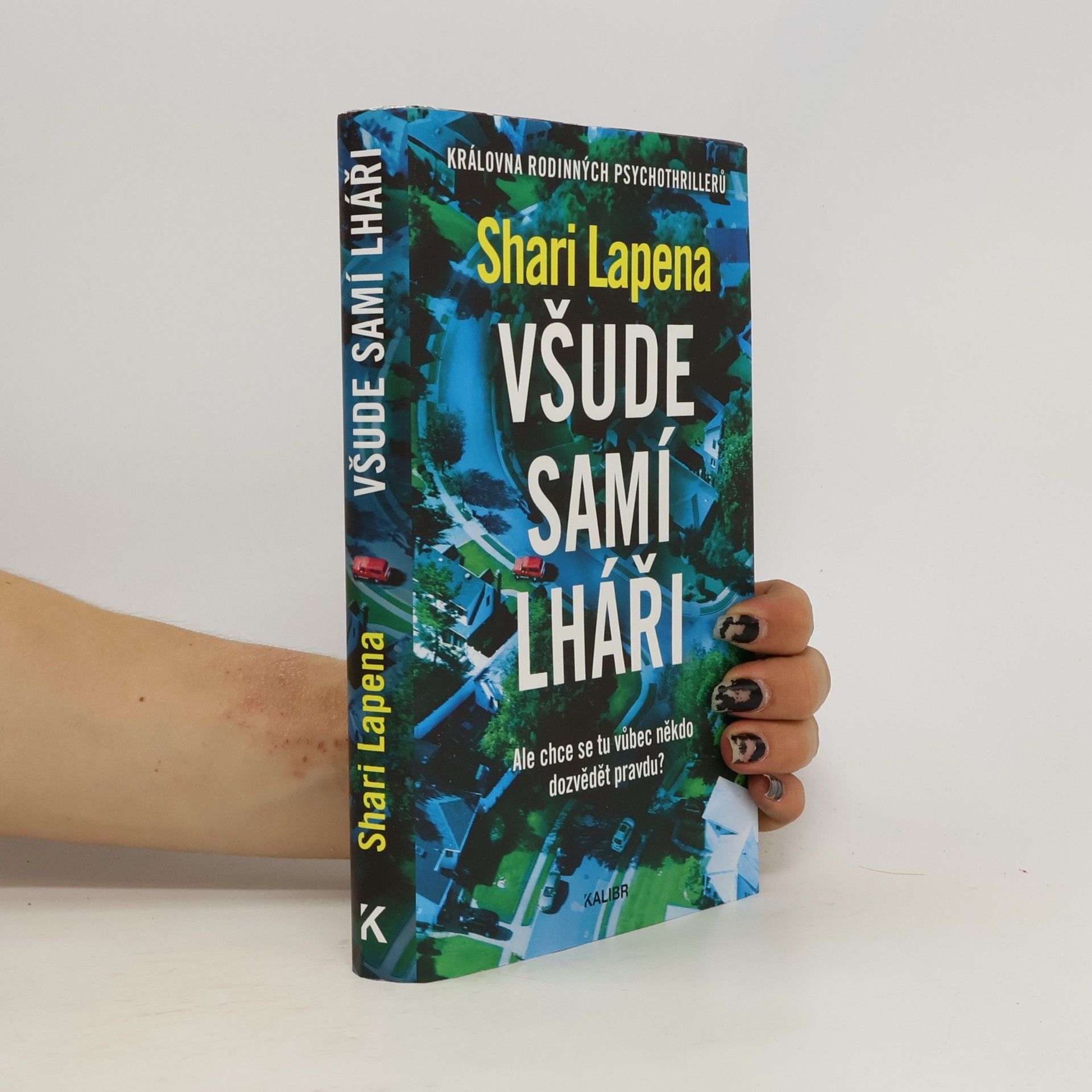 Shari Lapena Všude samí lháři