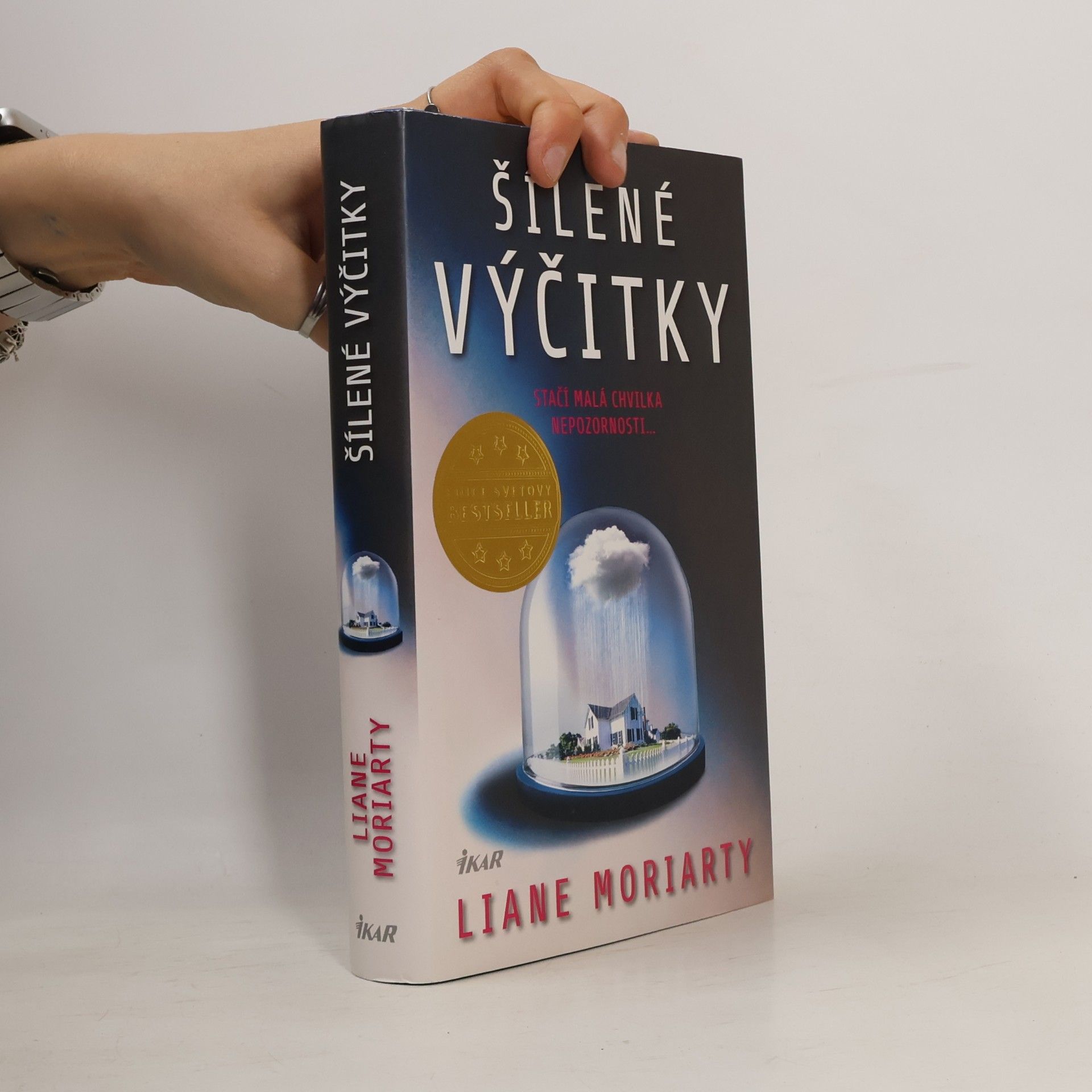 Liane Moriarty Šílené výčitky