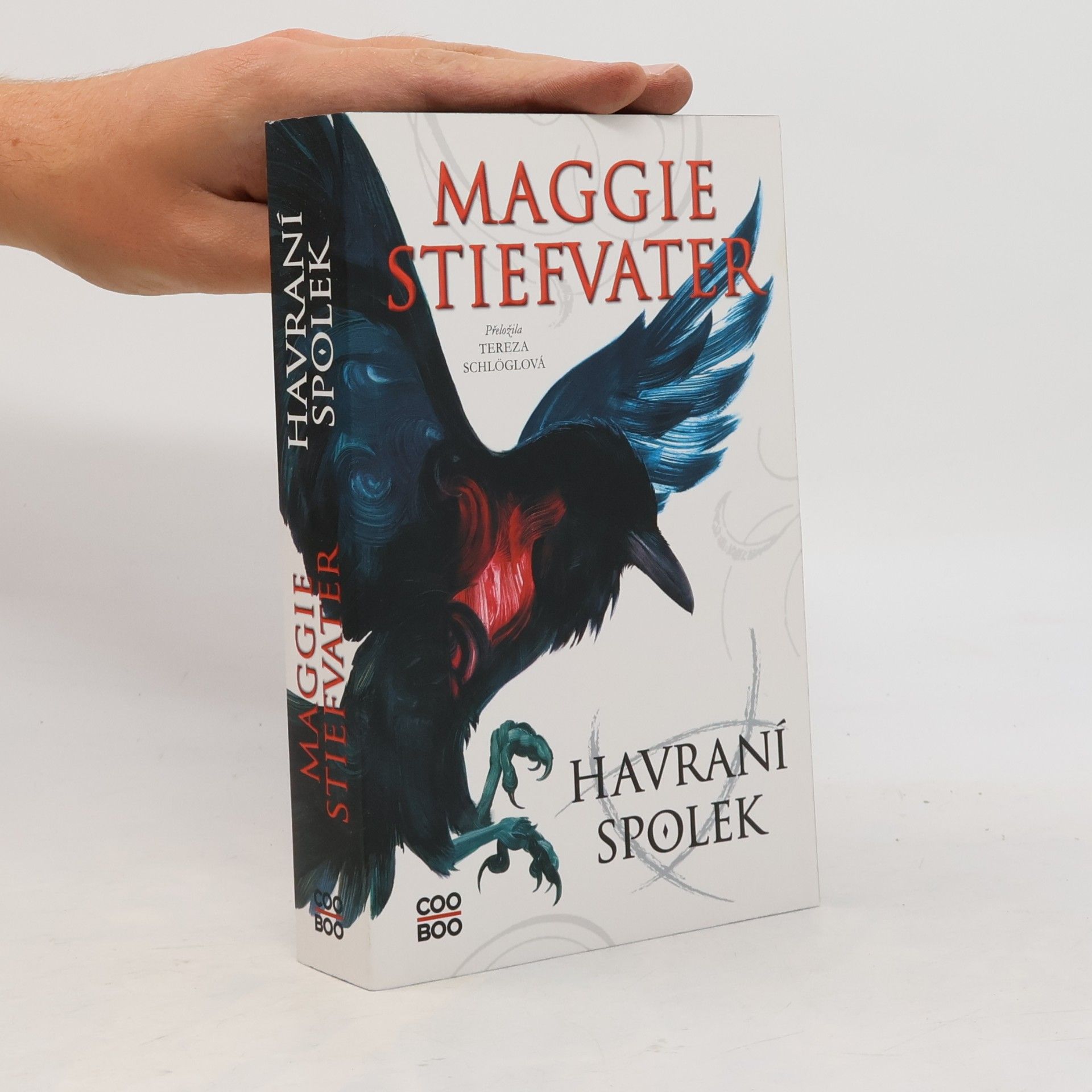Maggie Stiefvater Havraní spolek