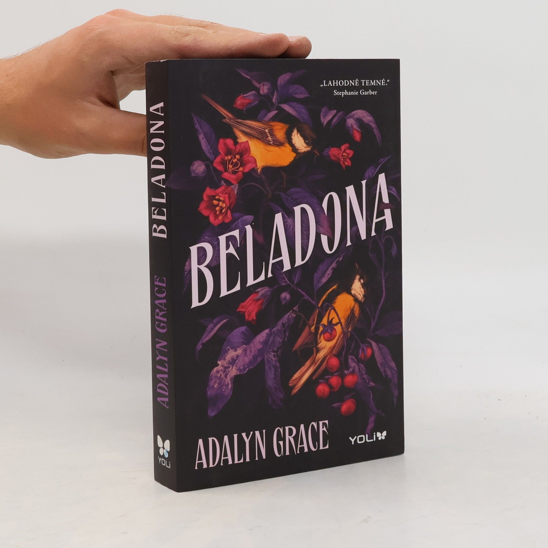 Adalyn Grace Beladona
