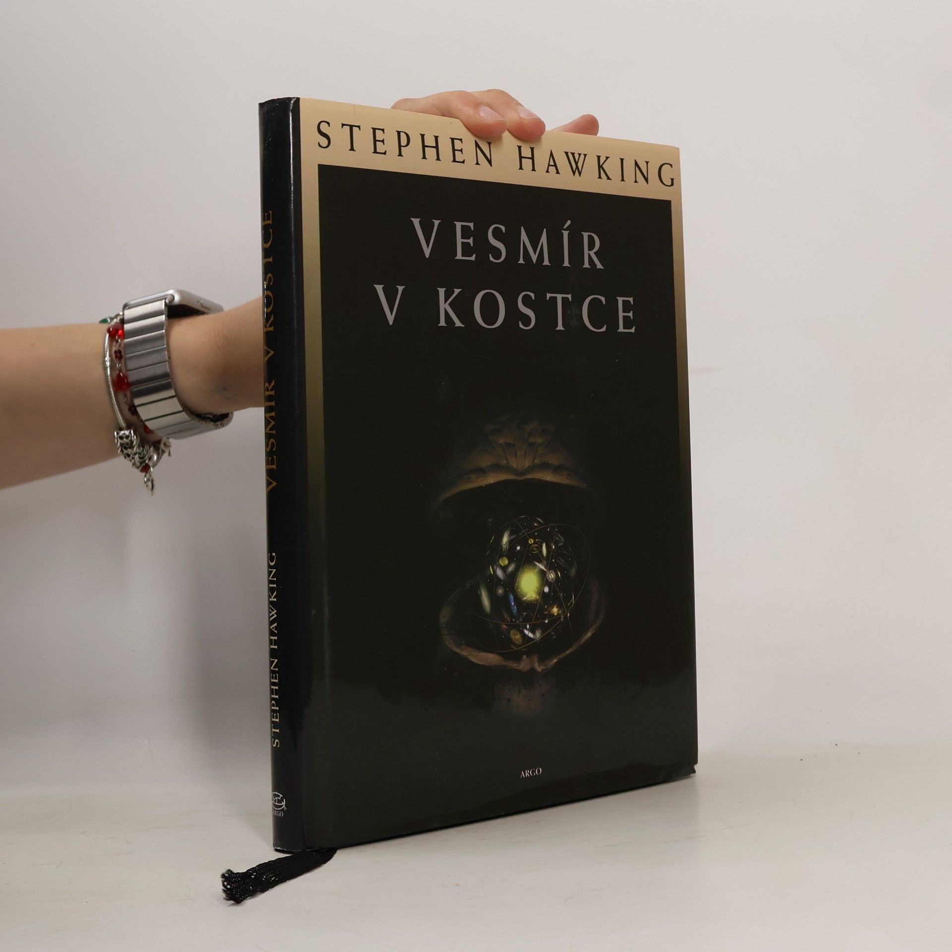 Stephen Hawking Vesmír v kostce