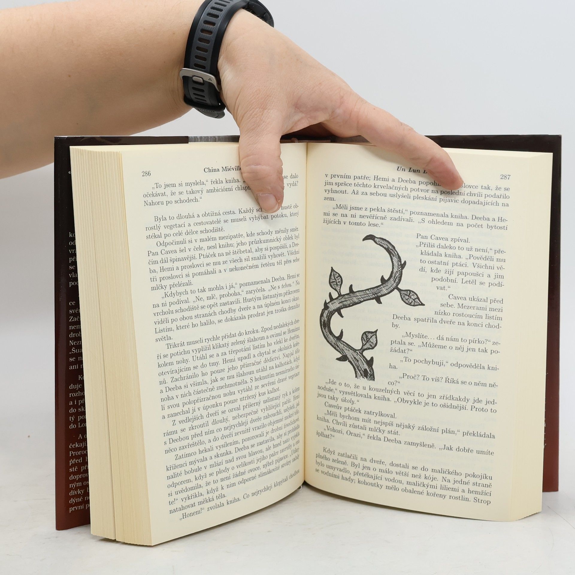China Miéville Un Lun Dun