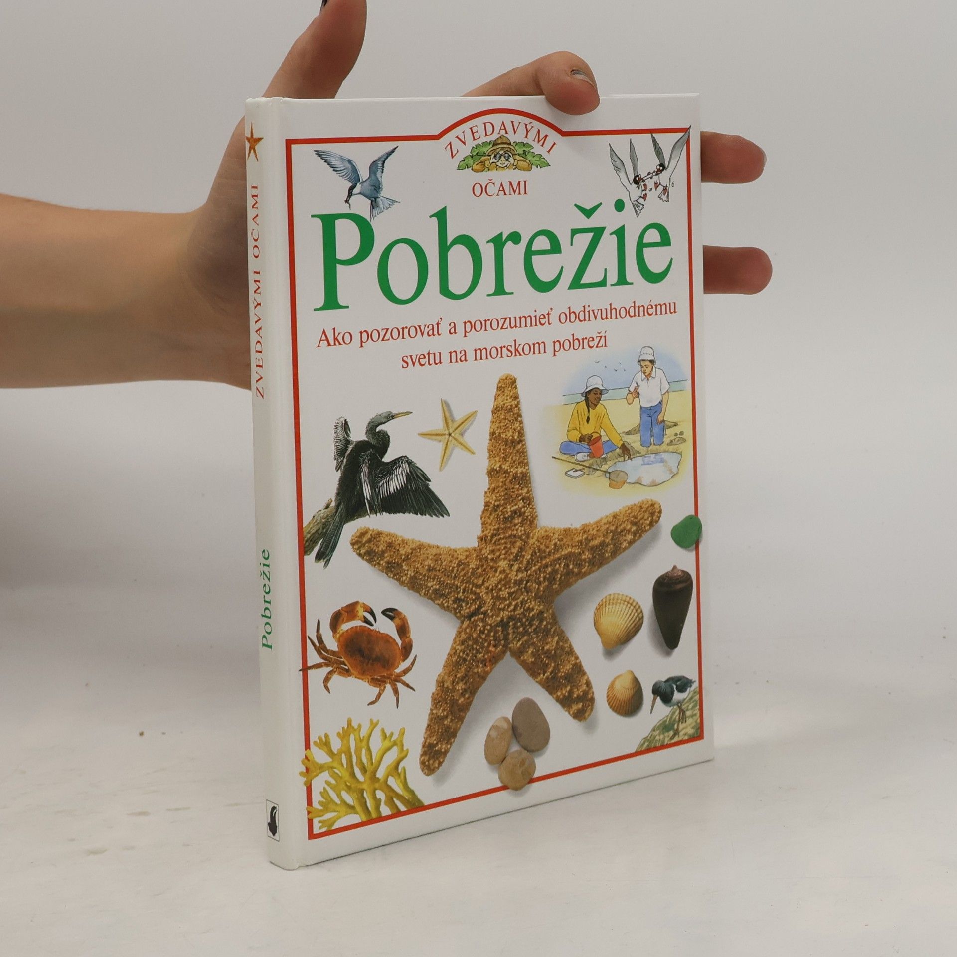 David Burnie Pobrežie