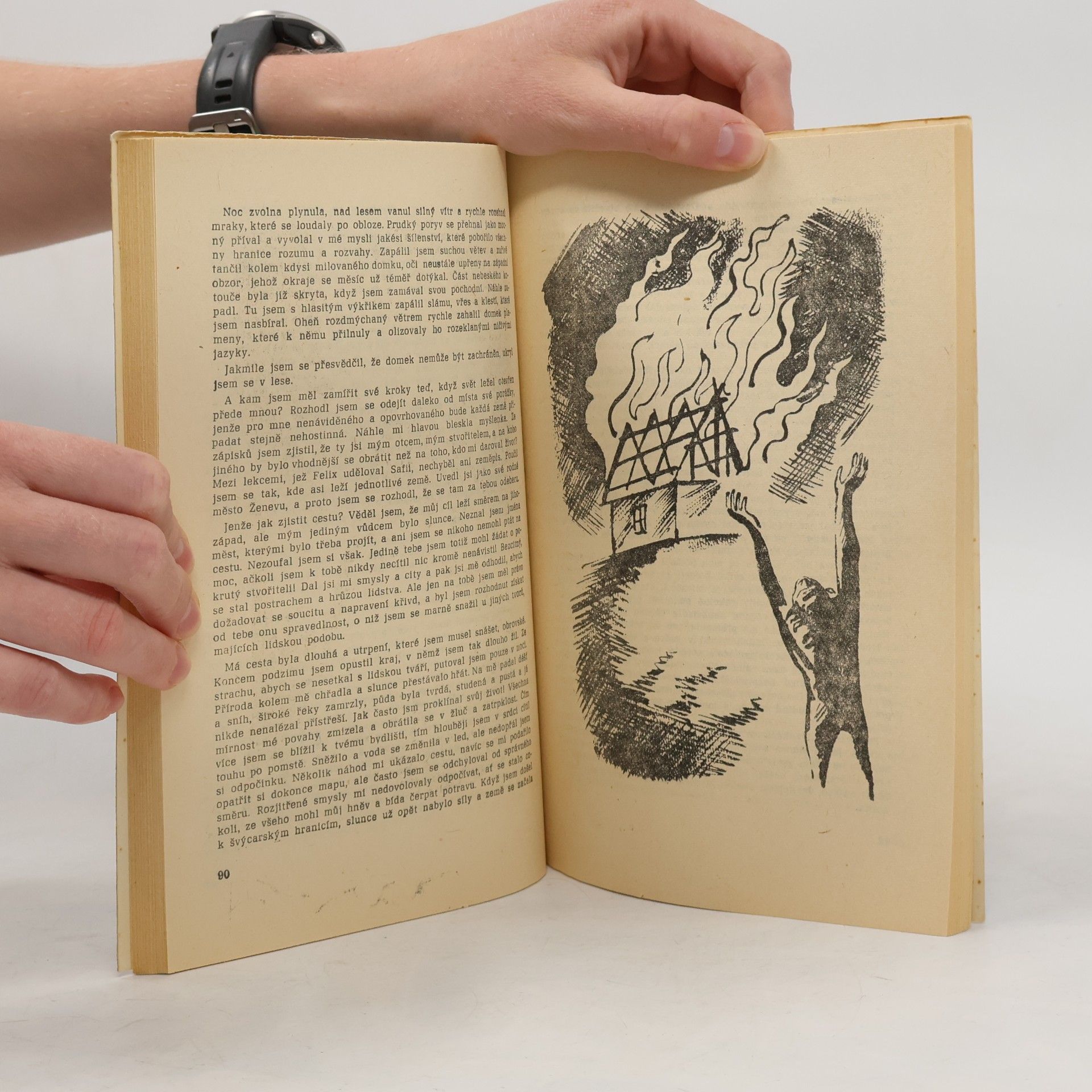 Mary Shelley Frankenstein