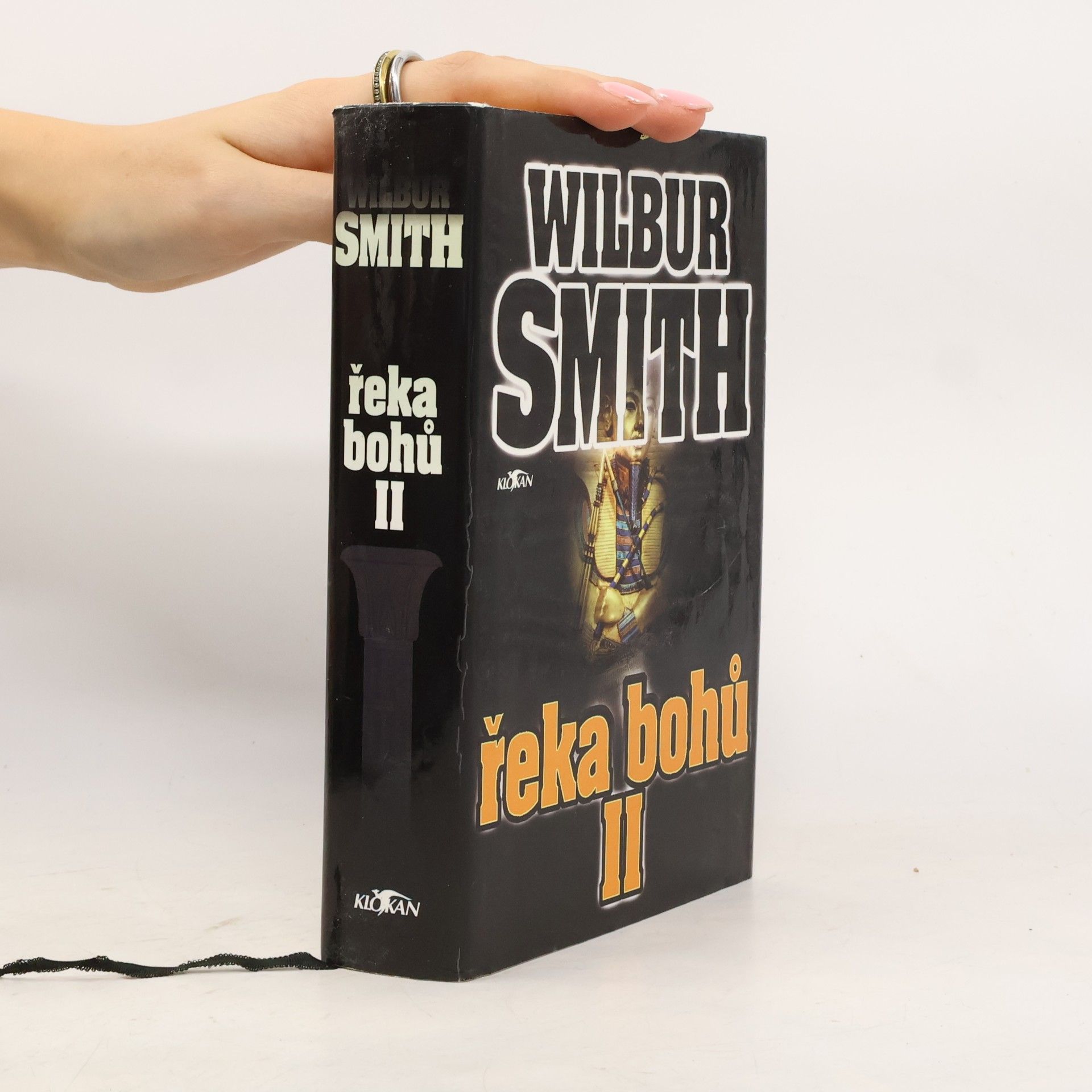 Wilbur Smith Řeka bohů II