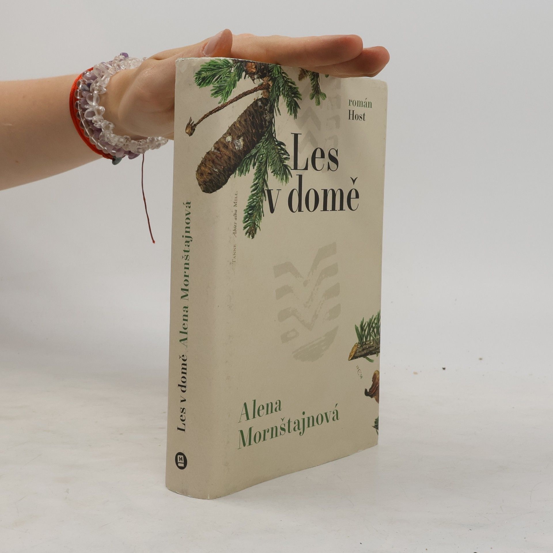 Alena Mornštajnová Les v domě