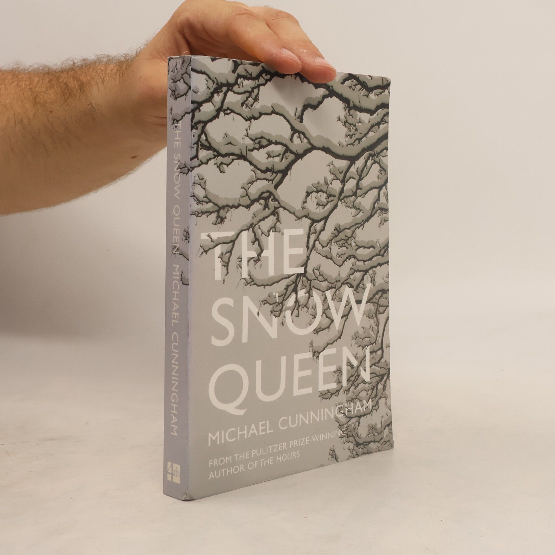 Michael Cunningham The Snow Queen