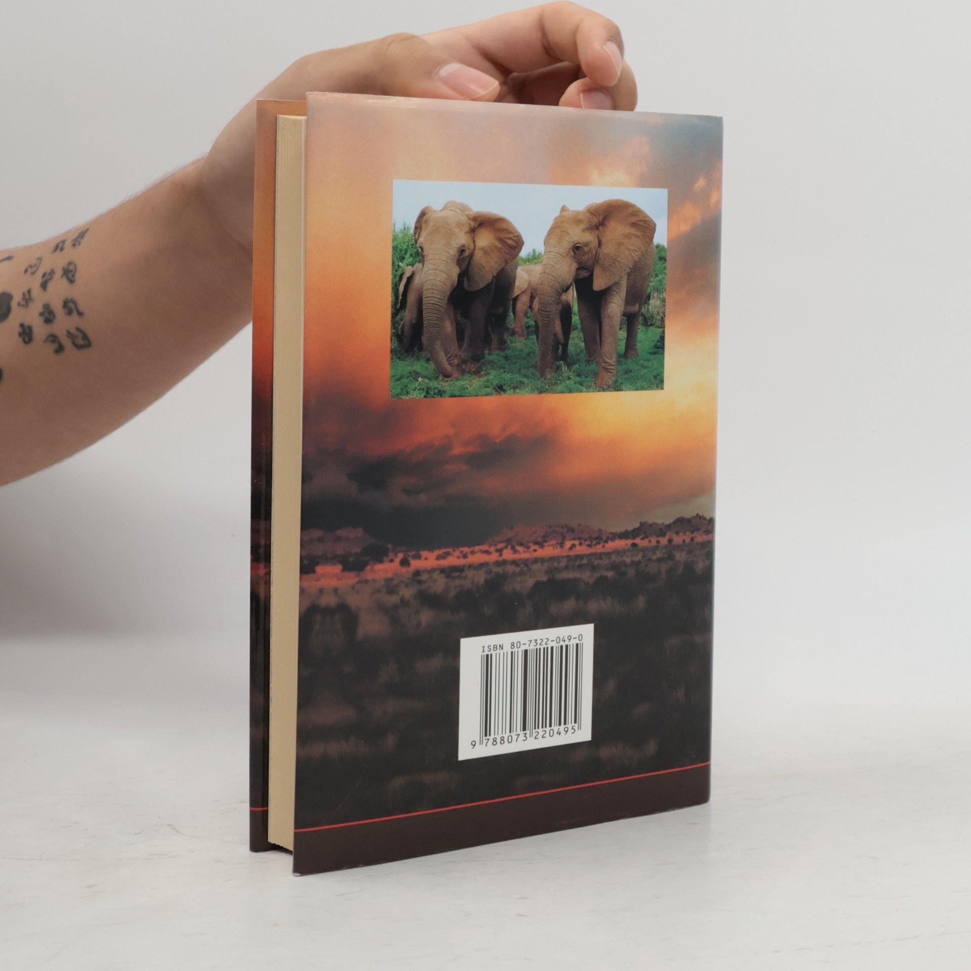 Robert Chester Ruark Safari