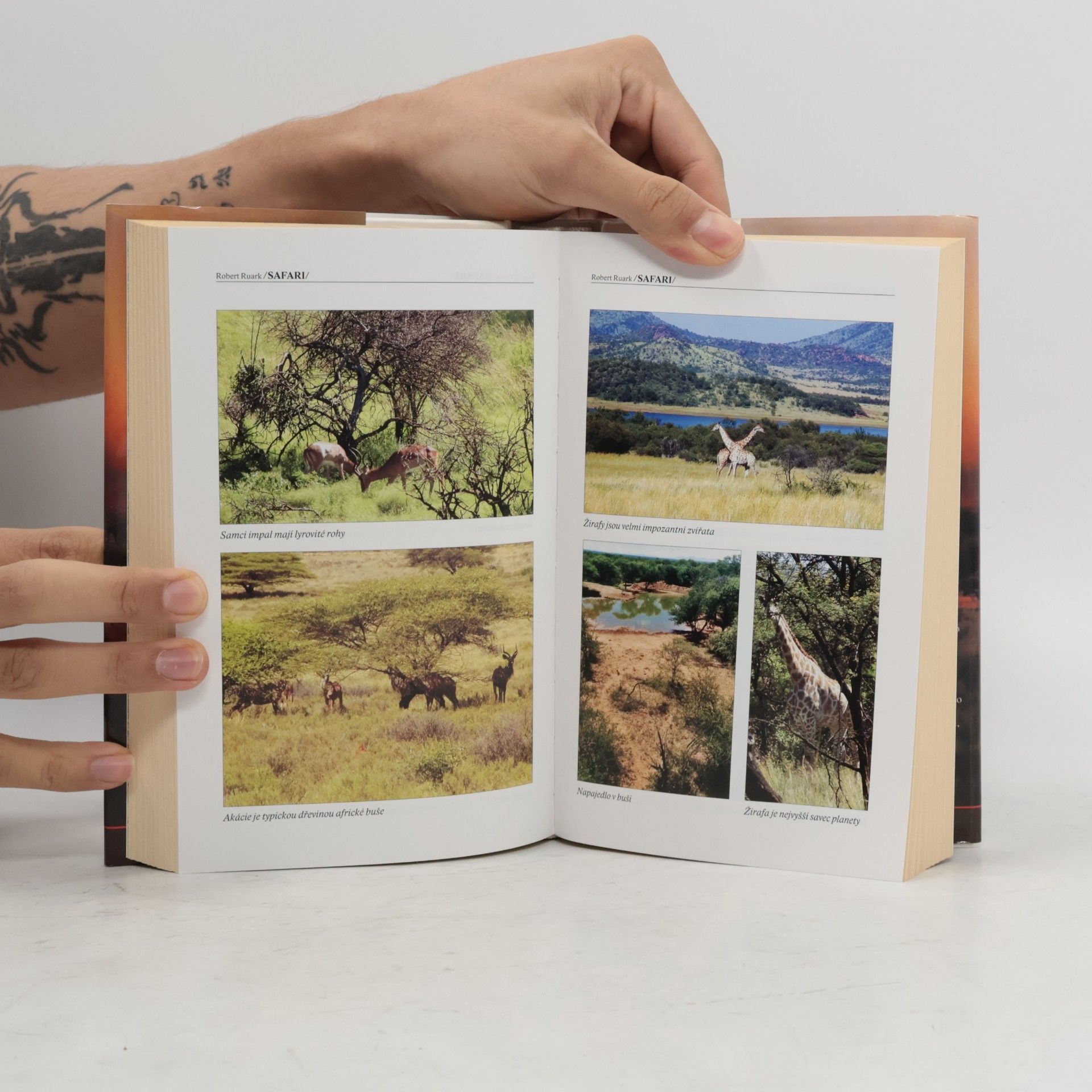 Robert Chester Ruark Safari