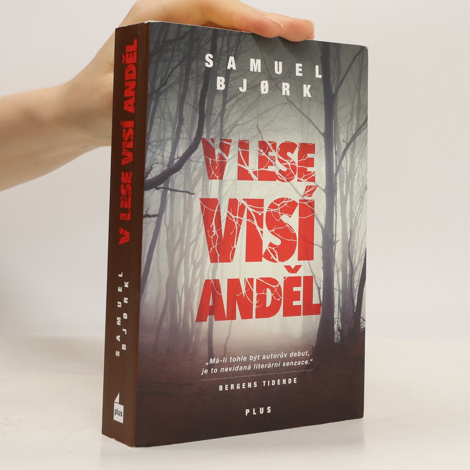 Samuel Bjork V lese visí anděl