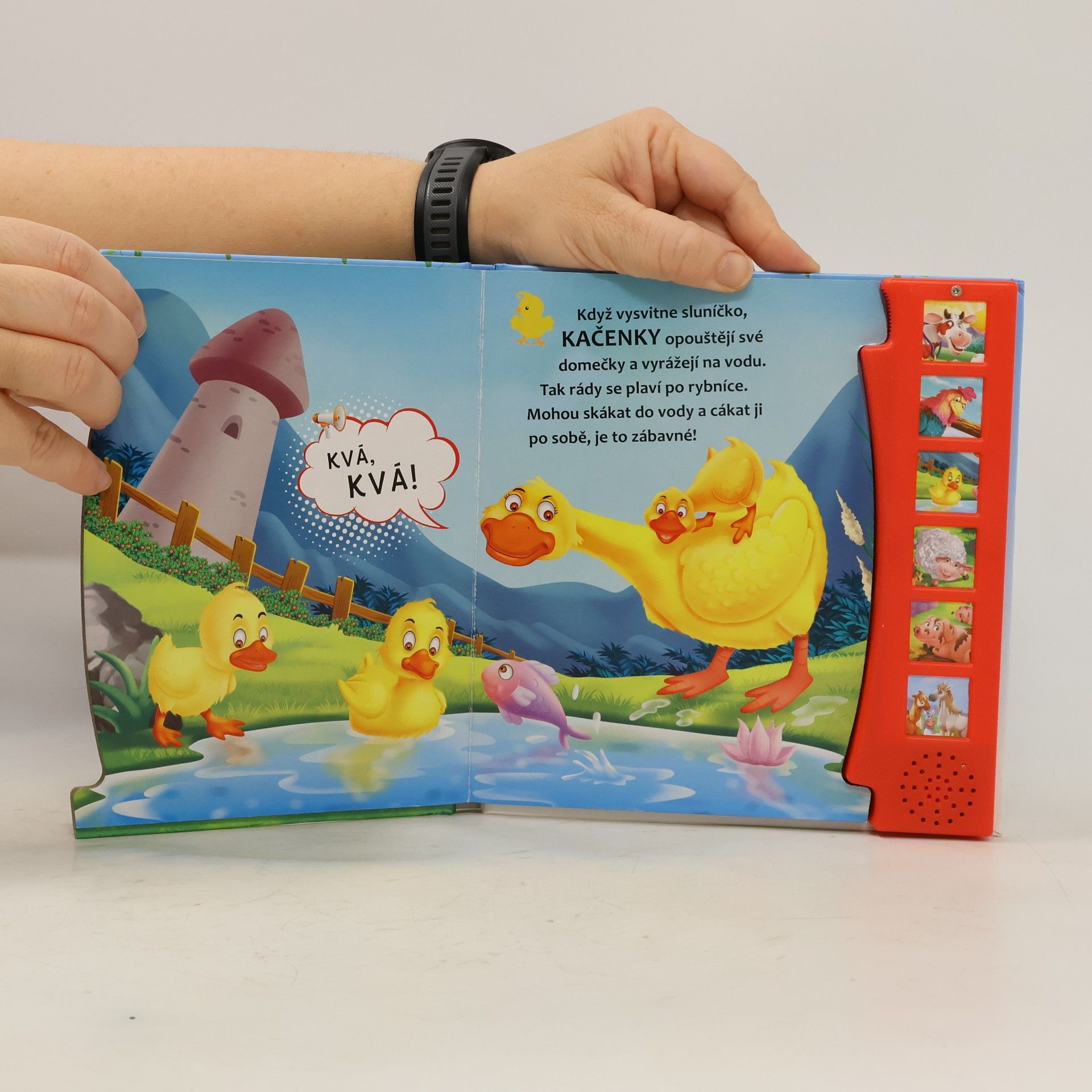 Various authors Zvířátka na statku - zvuková kniha