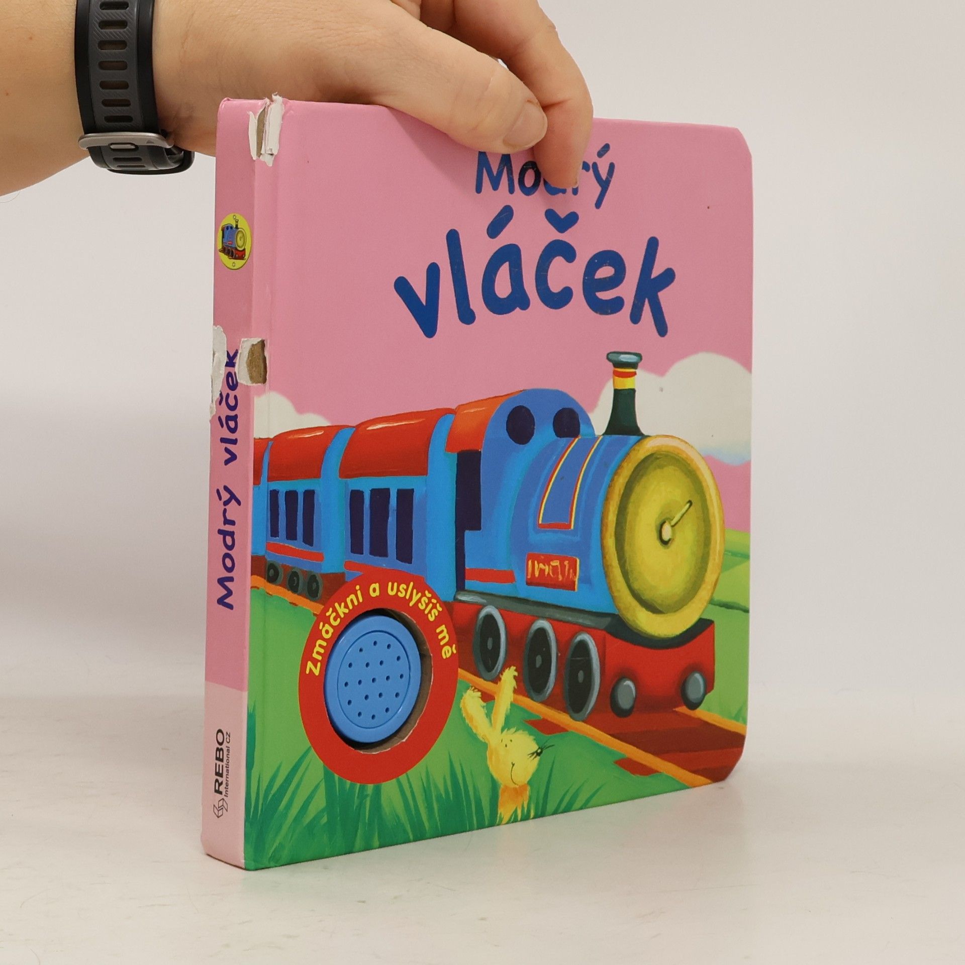 Kolektív autorov Modrý vláček