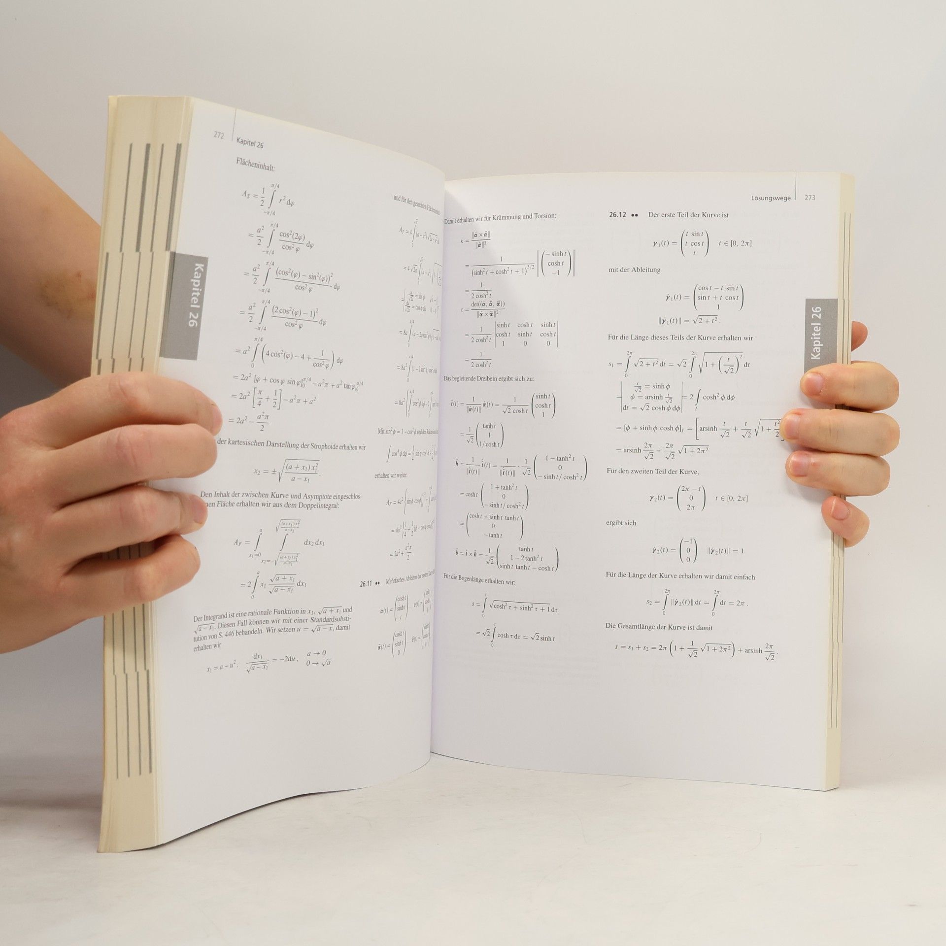 Tilo Arens Arbeitsbuch Mathematik