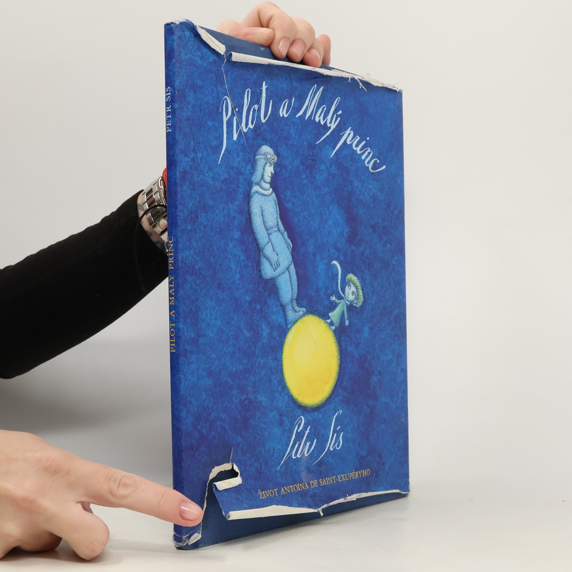 Peter Sís Pilot a Malý princ : život Antoina de Saint-Exupéryho