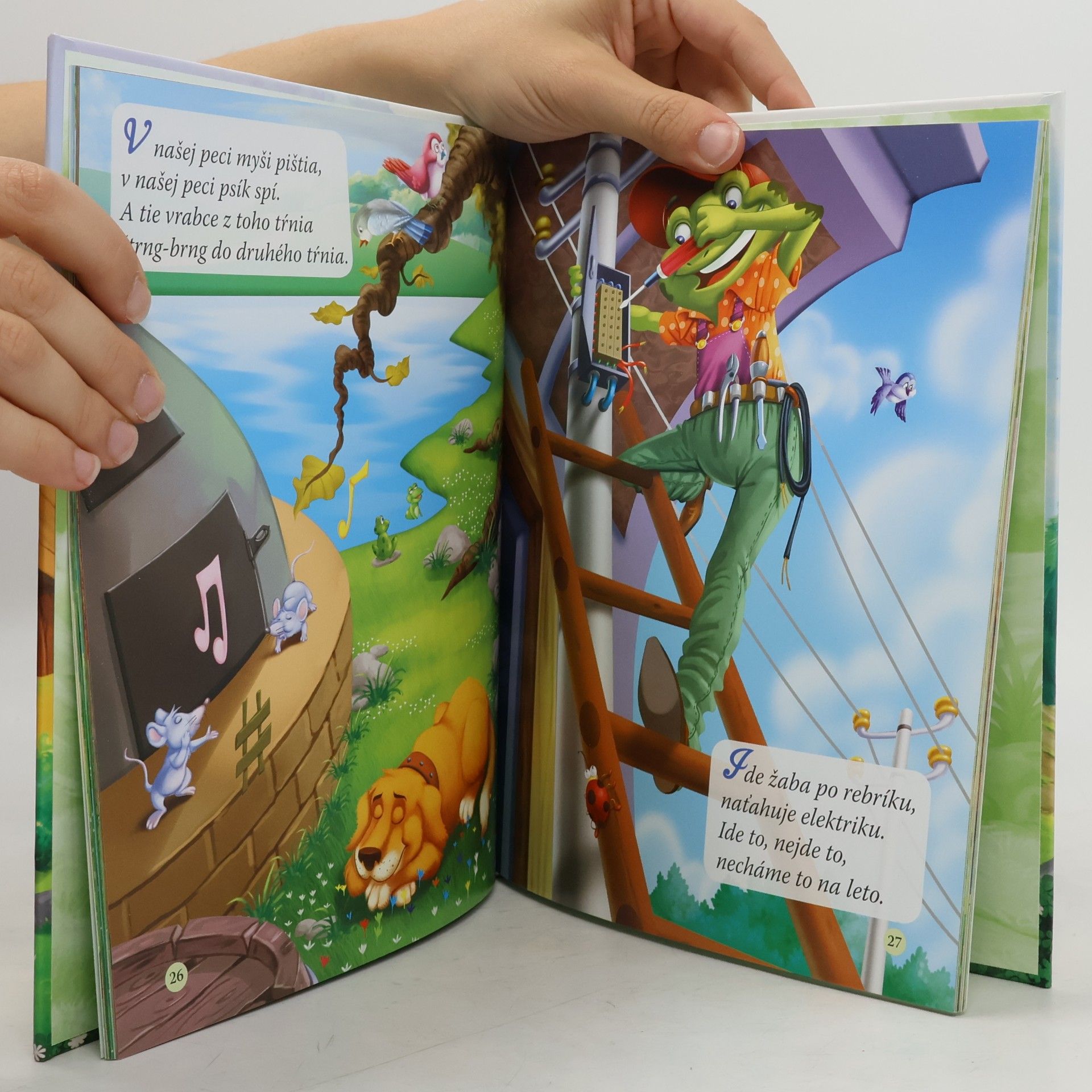 Autorenkollektiv Slovenské riekanky, básničky, uspávanky