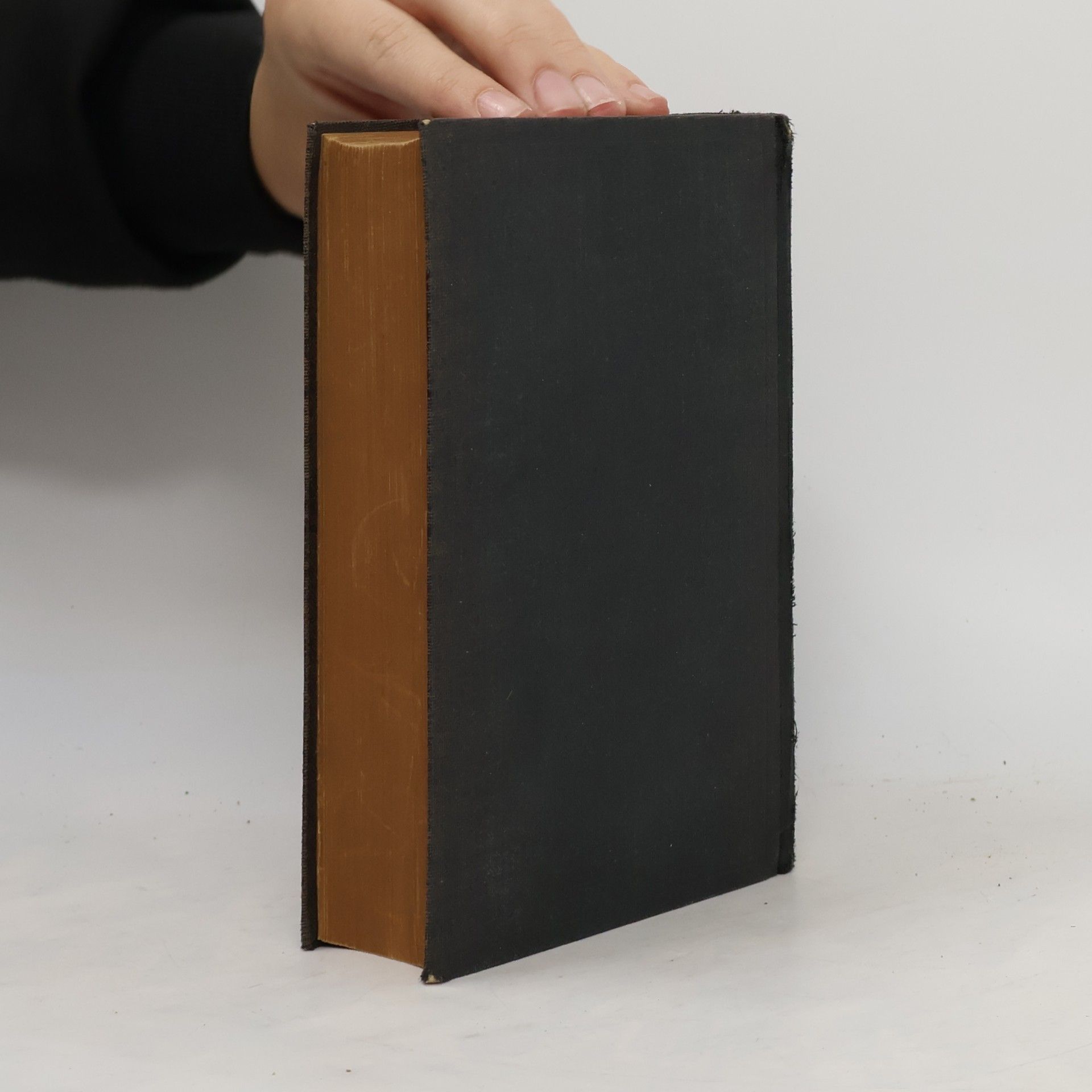 Martin Luther Die Bibel