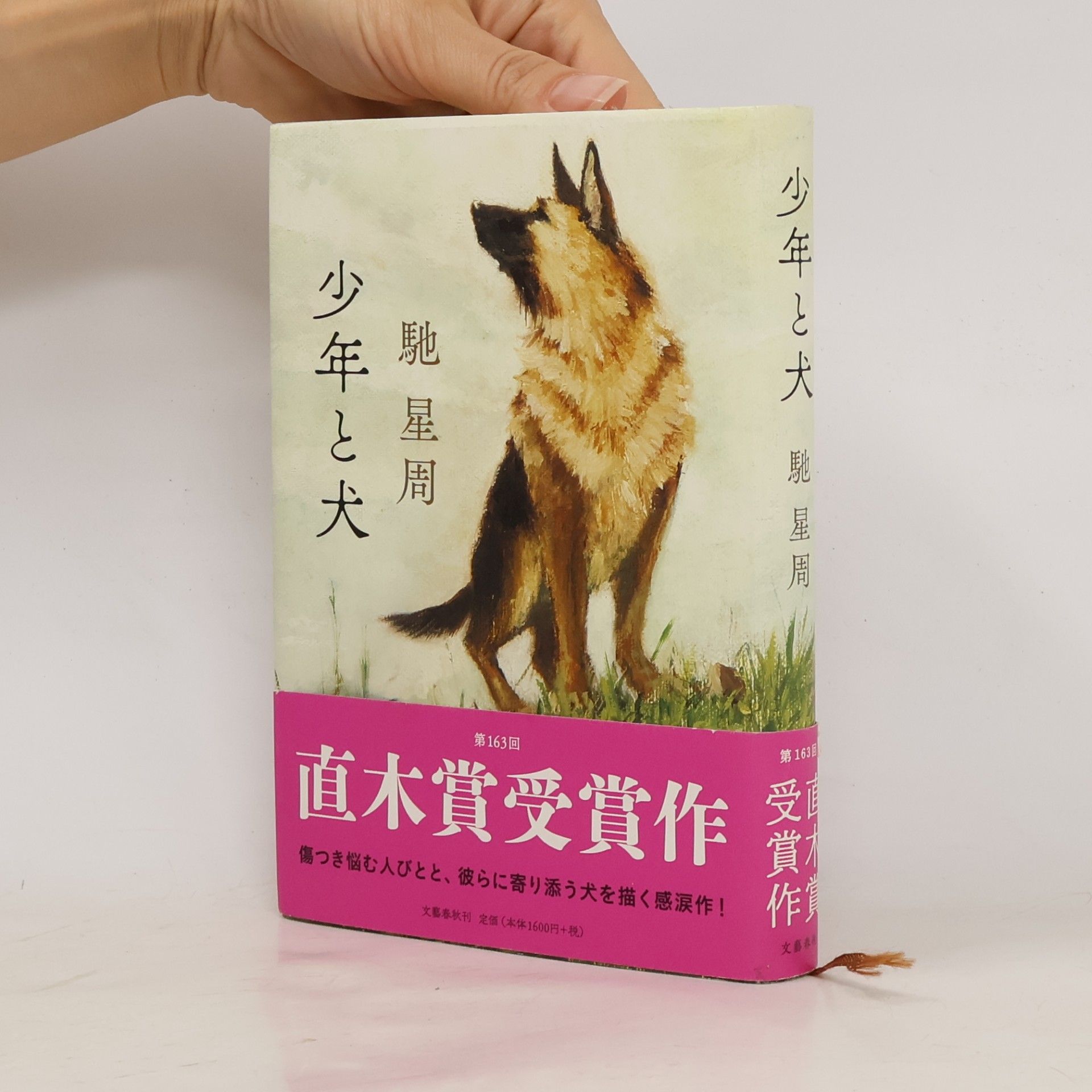 少年と犬