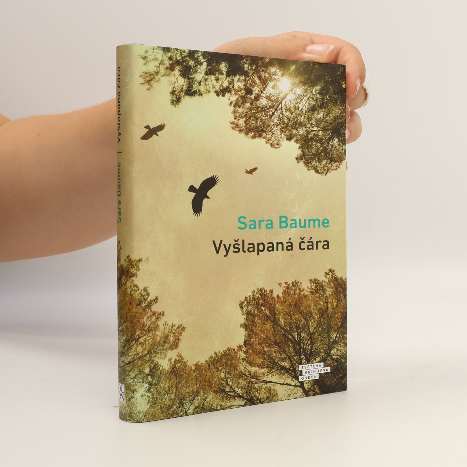 Vyšlapaná čára