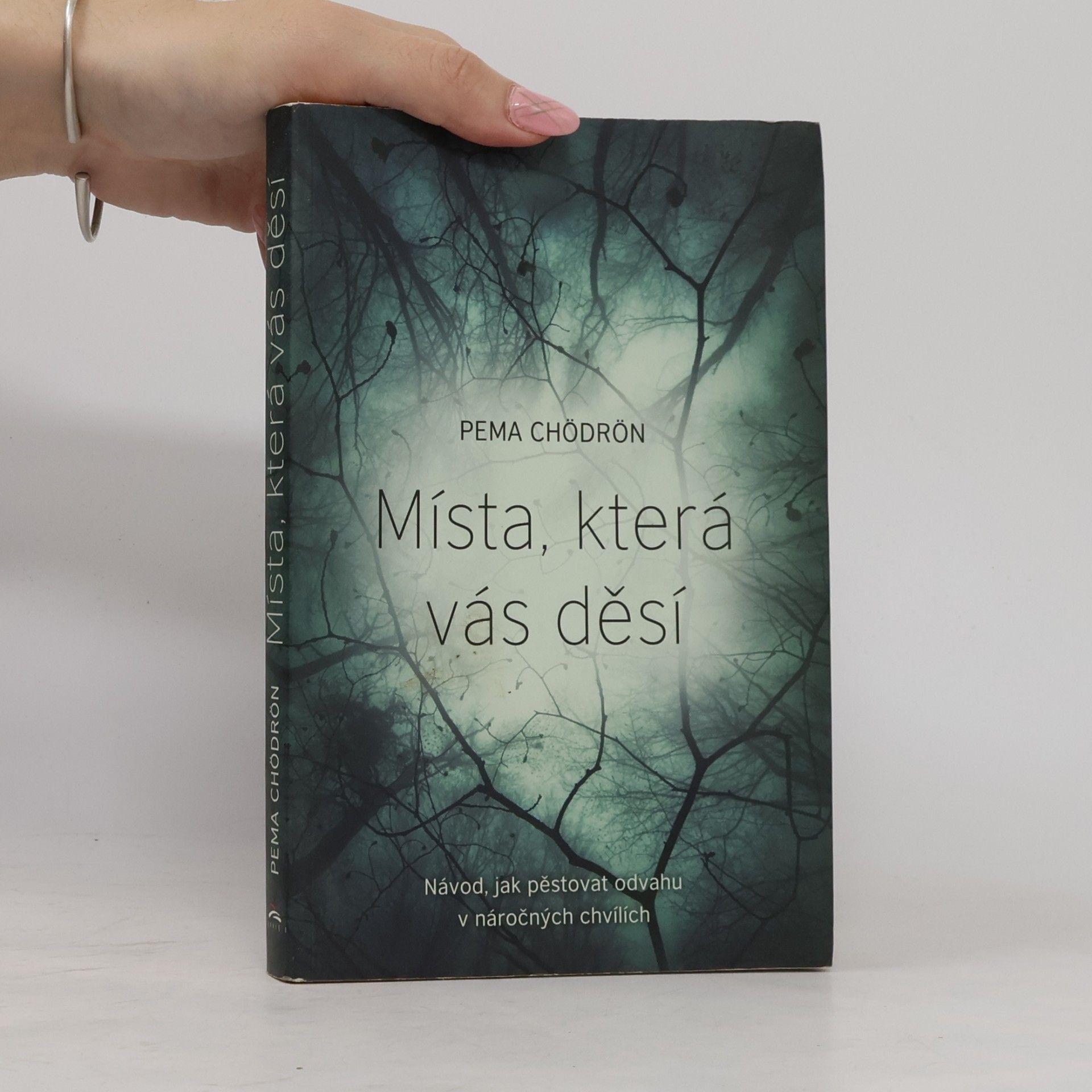 Pema Chödrön Místa, která vás děsí