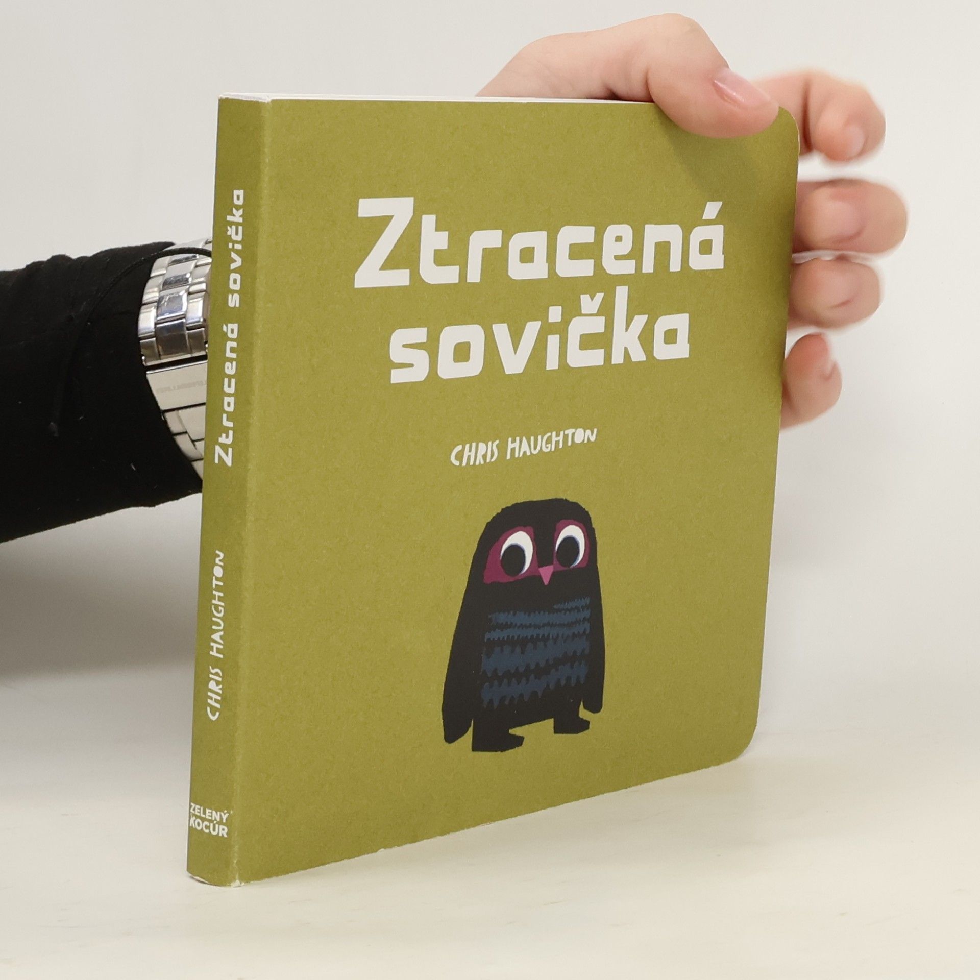 Chris Haughton Ztracená sovička