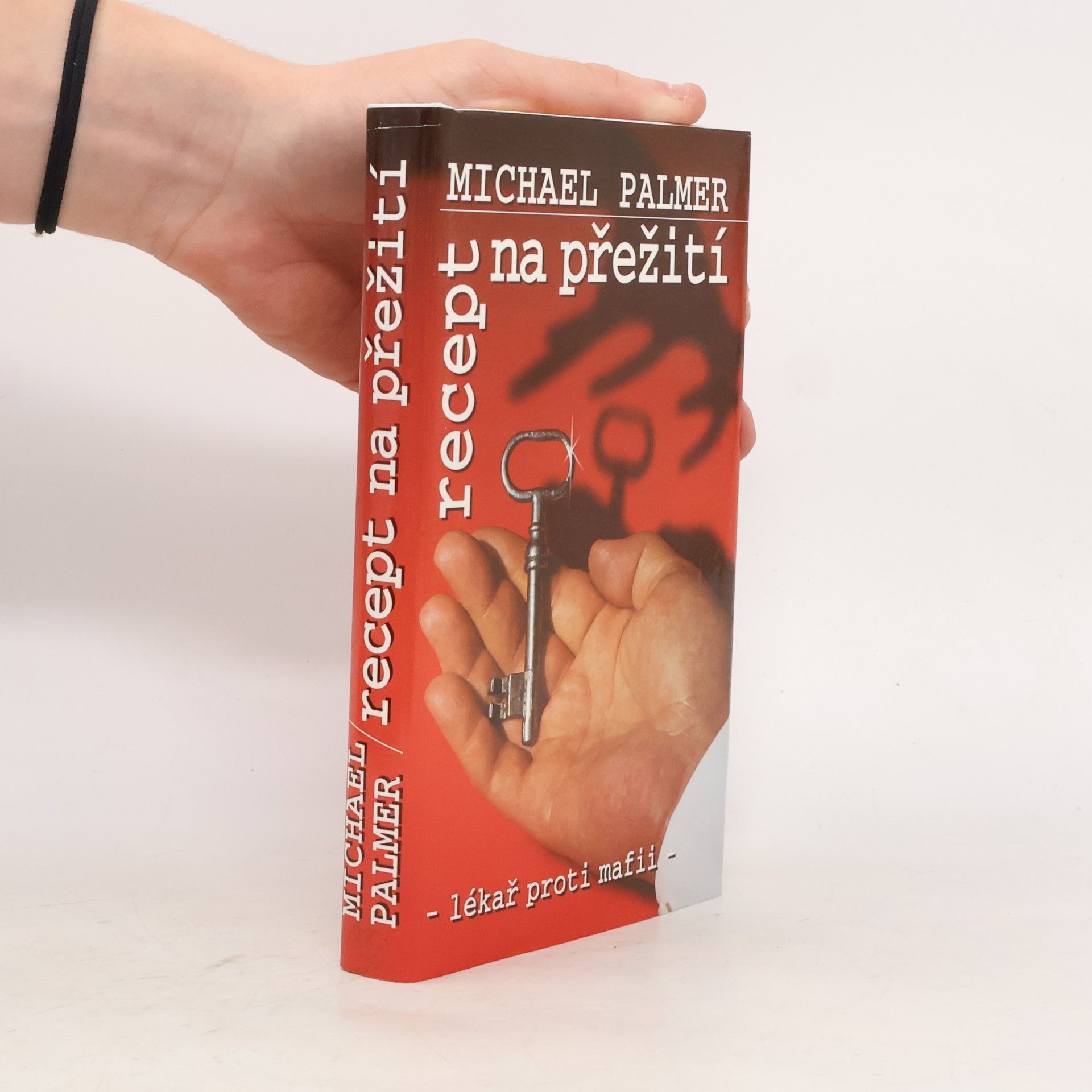 Michael Palmer Recept na přežití