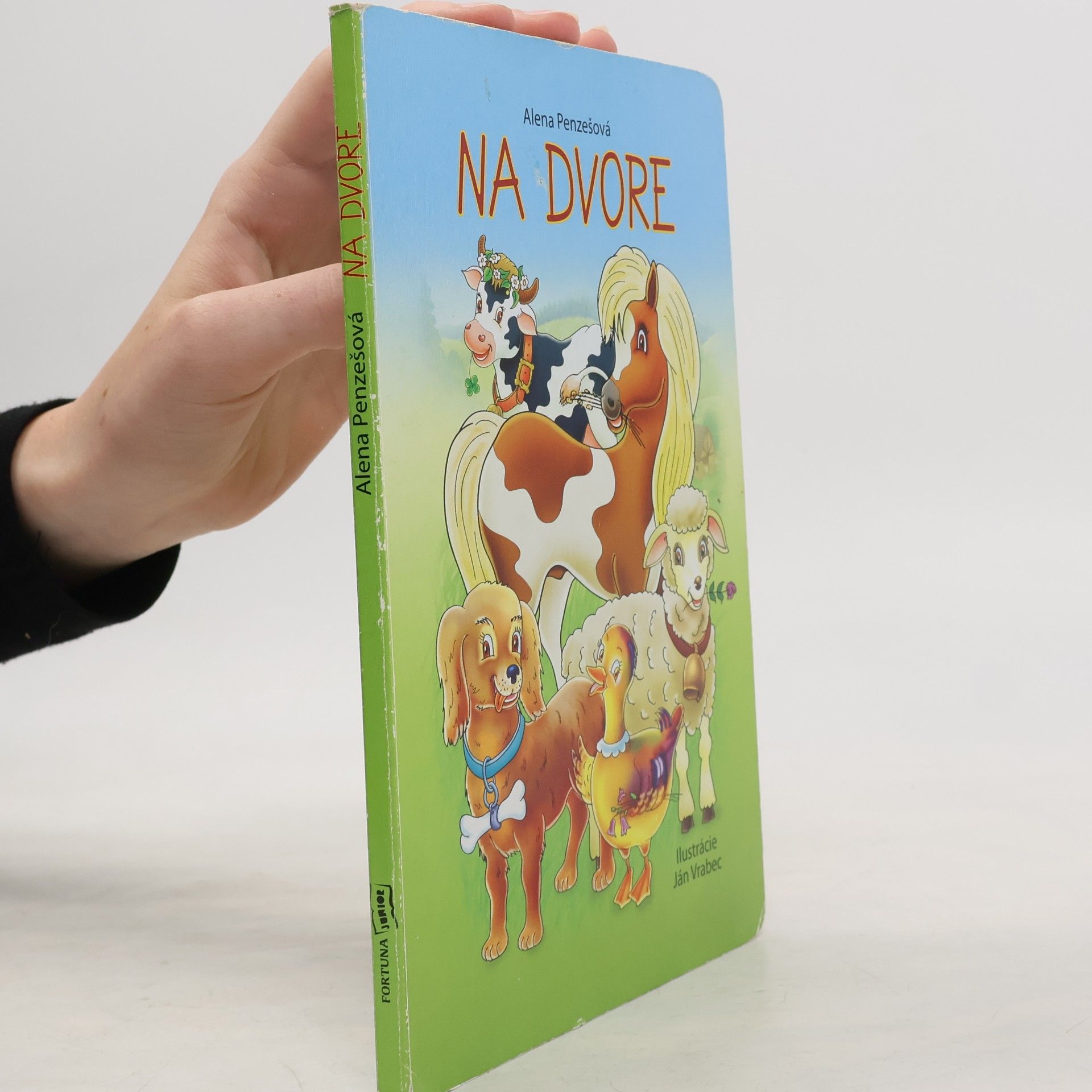 Alena Penzešová Na dvore