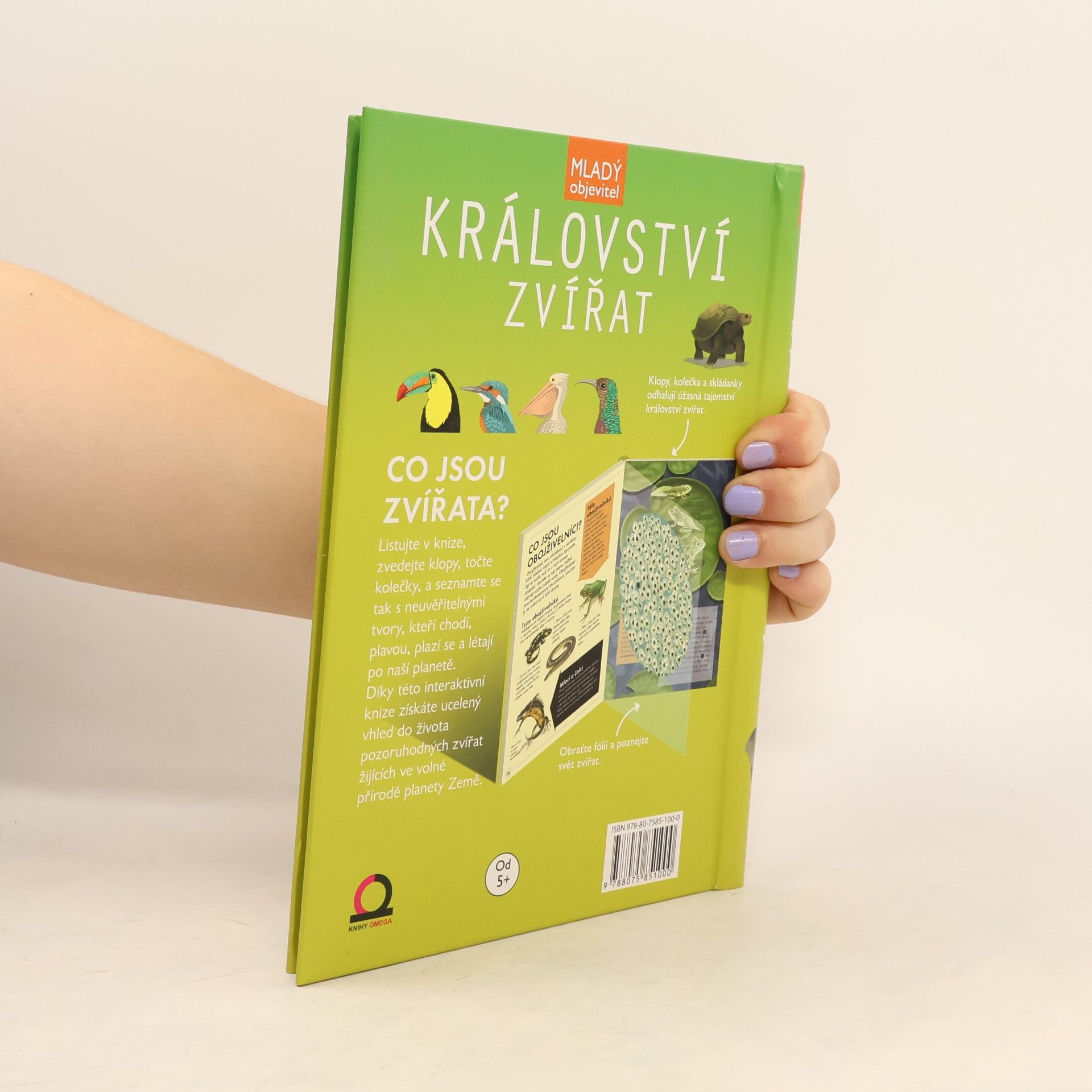Bedoyere Camilla Království zvířat