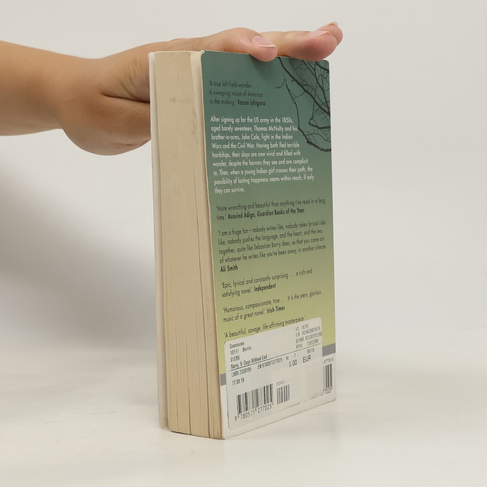 Sebastian Barry Days Without End