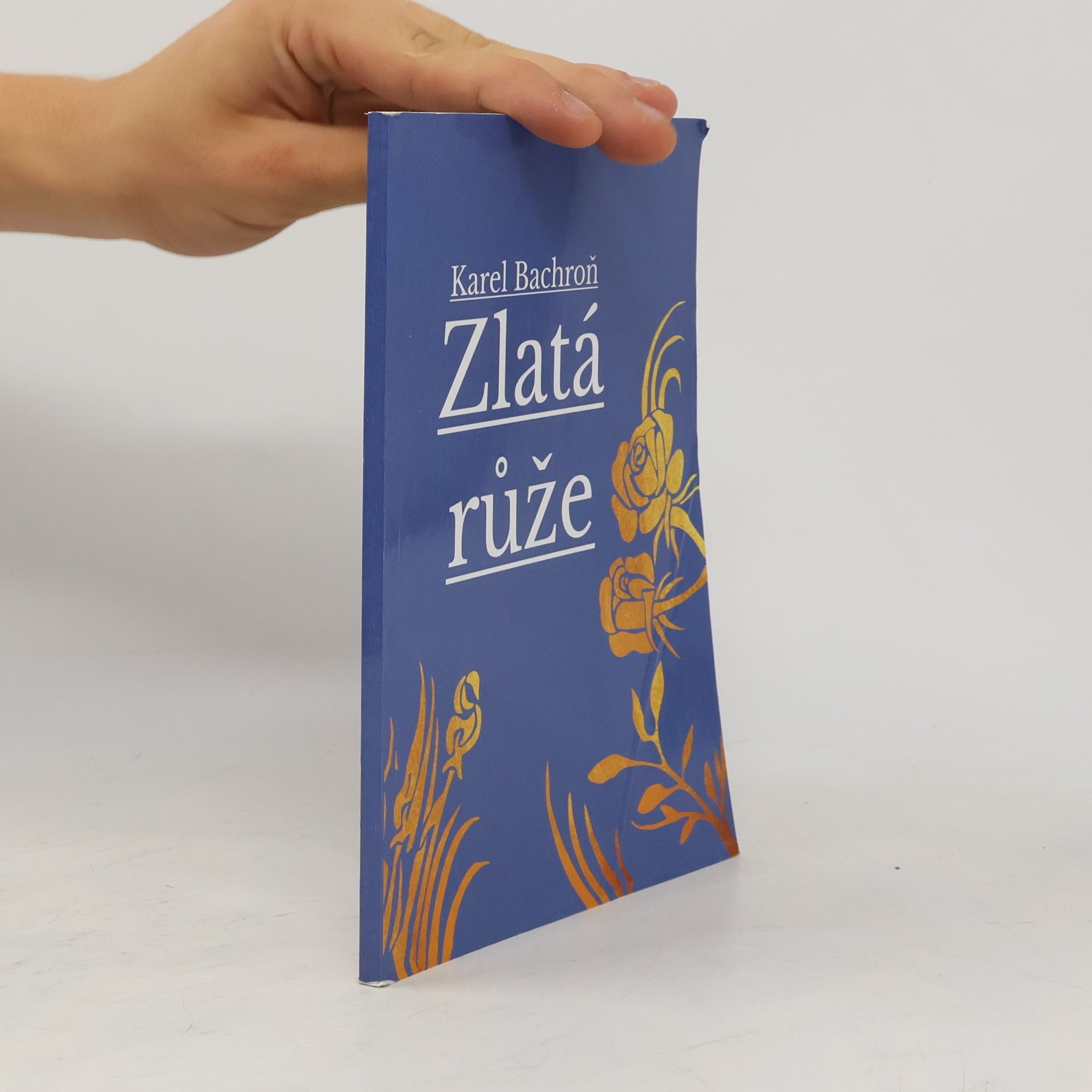 Karel Bachroň Zlatá růže