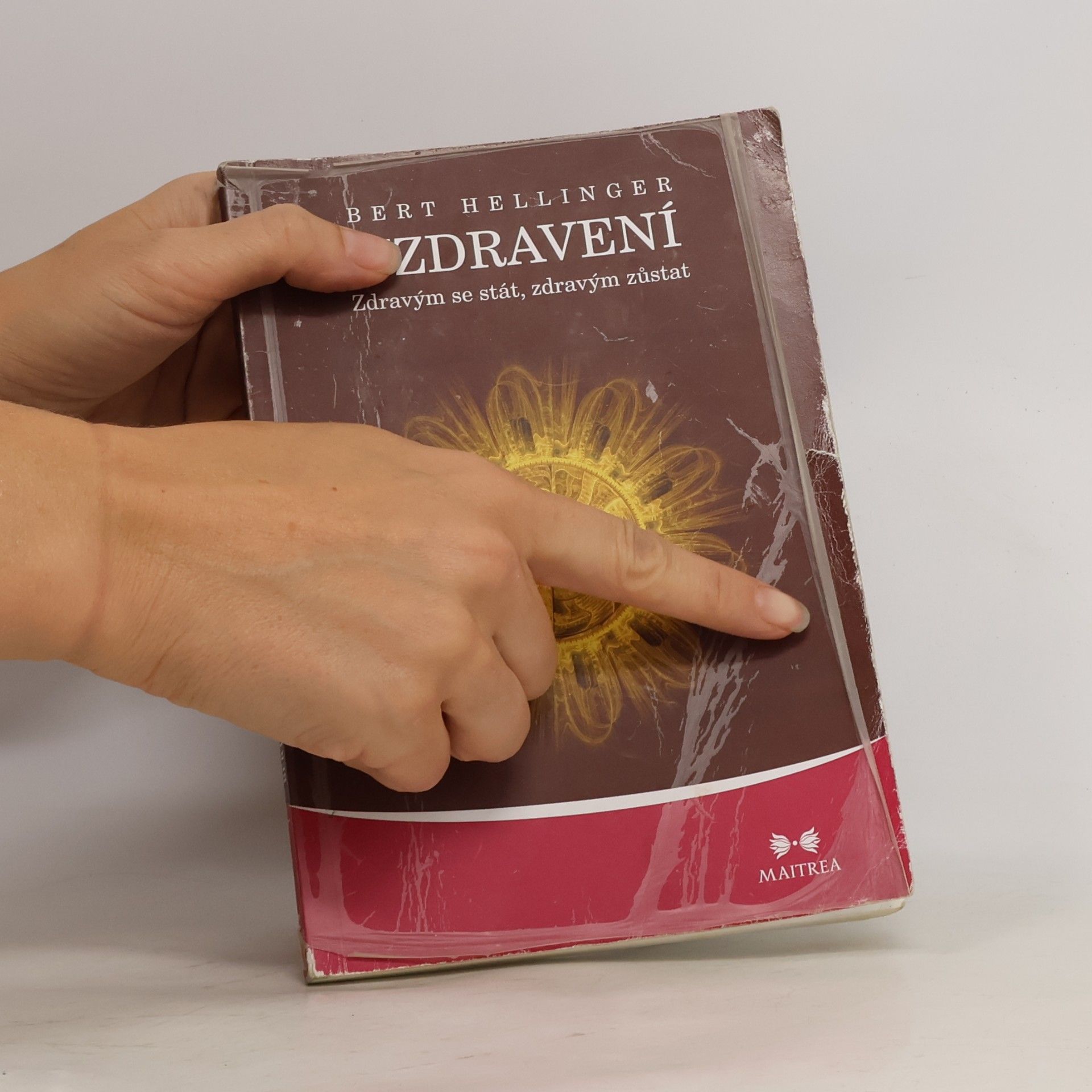 Bert Hellinger Uzdravení. Zdravým se stát, zdravým zůstat