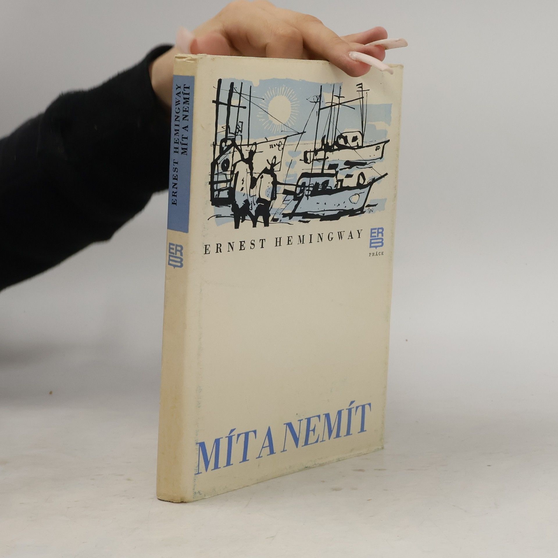 Ernest Hemingway Mít a nemít